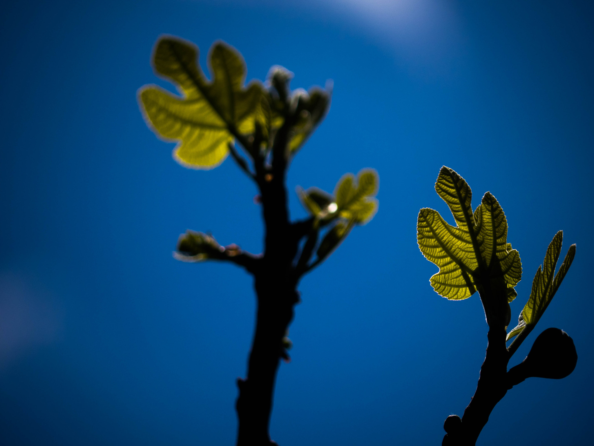 Panasonic Lumix G Vario 45-200mm F4-5.6 OIS sample photo. New cycle photography