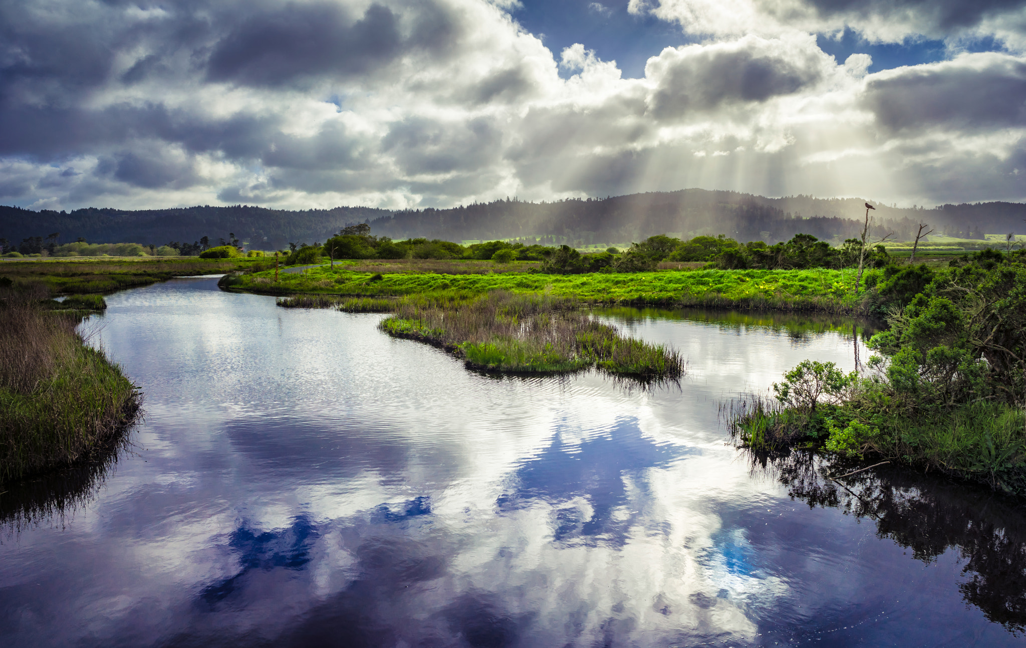 Sony a7R + E 21mm F2.8 sample photo. The humboldt bay wildlife refuge is the perfect location for a morning shoot! photography
