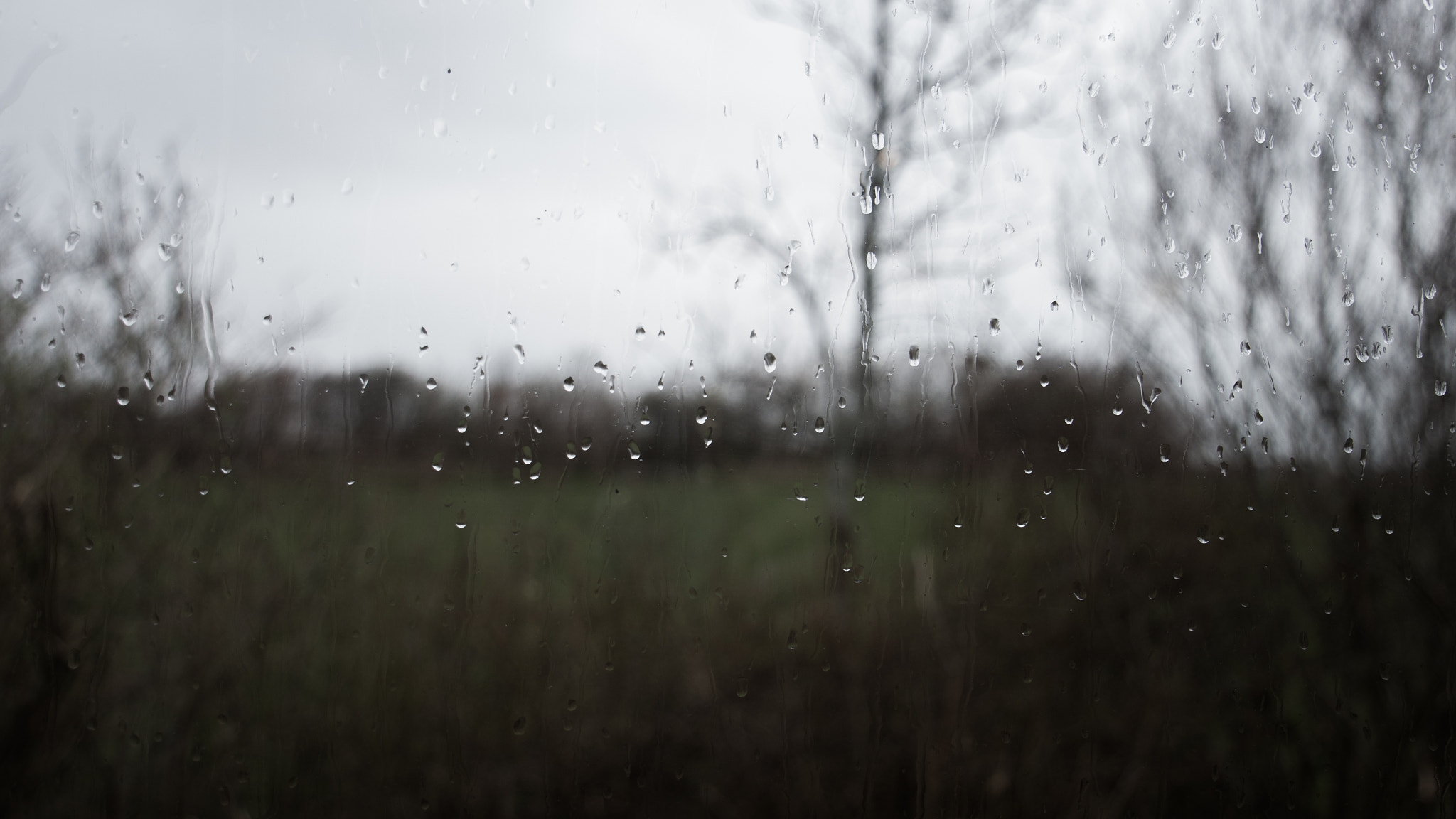 Canon EF 24-105mm F3.5-5.6 IS STM sample photo. Rainy day photography