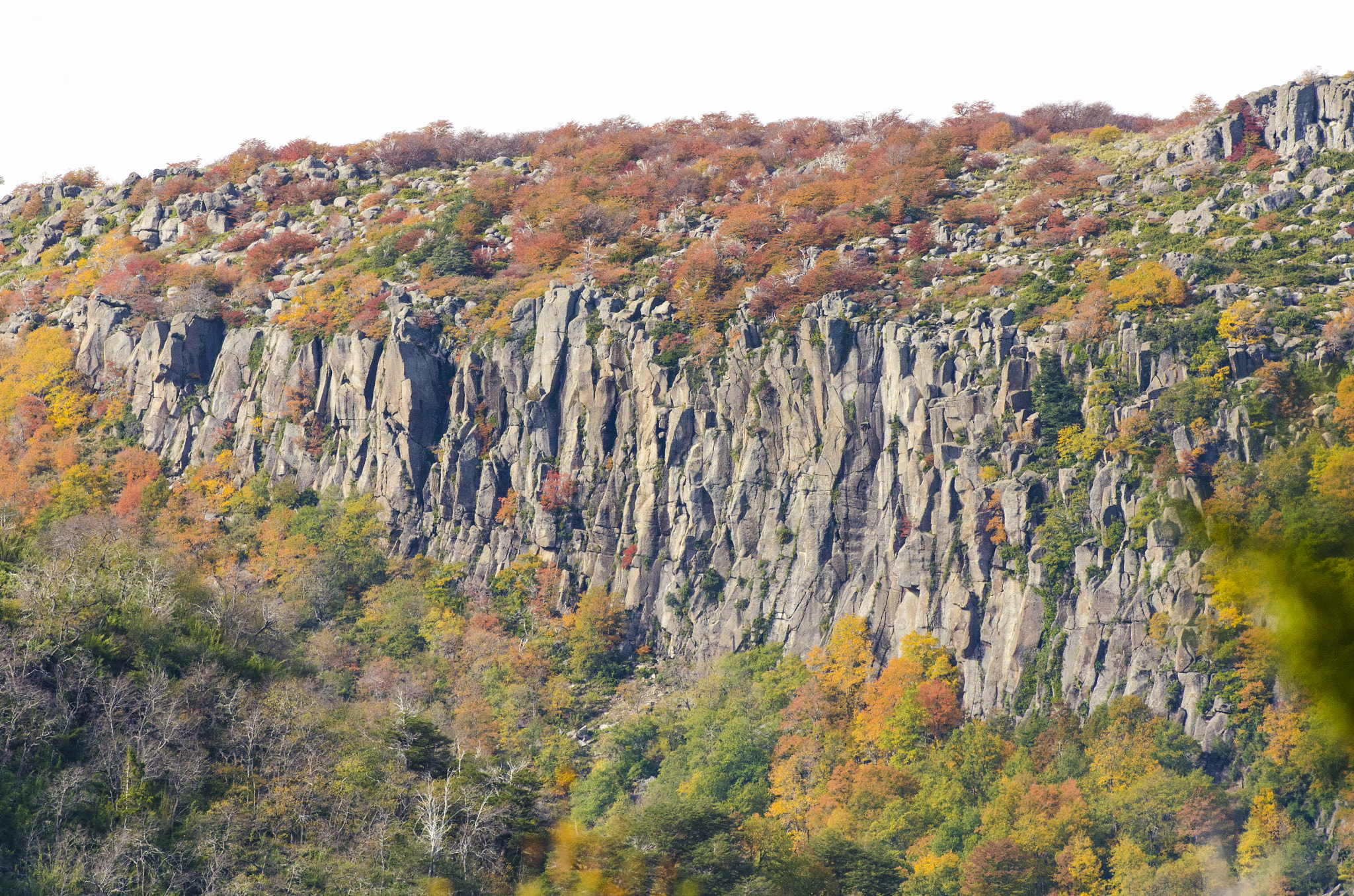 Nikon D7000 + Nikon AF-S Nikkor 500mm F4G ED VR sample photo. Fall in the mountains photography