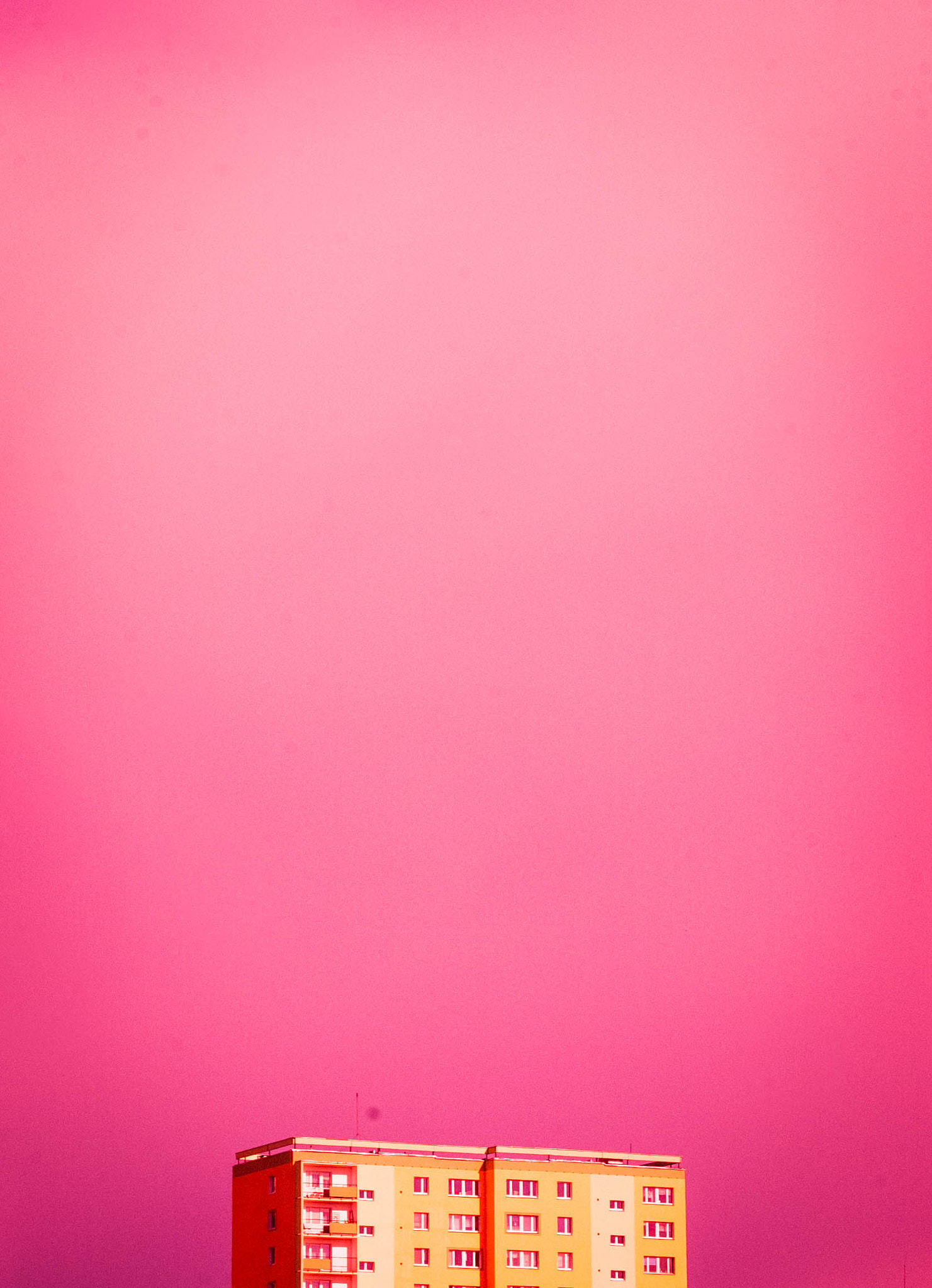 Nikon D70 sample photo. //pink photography