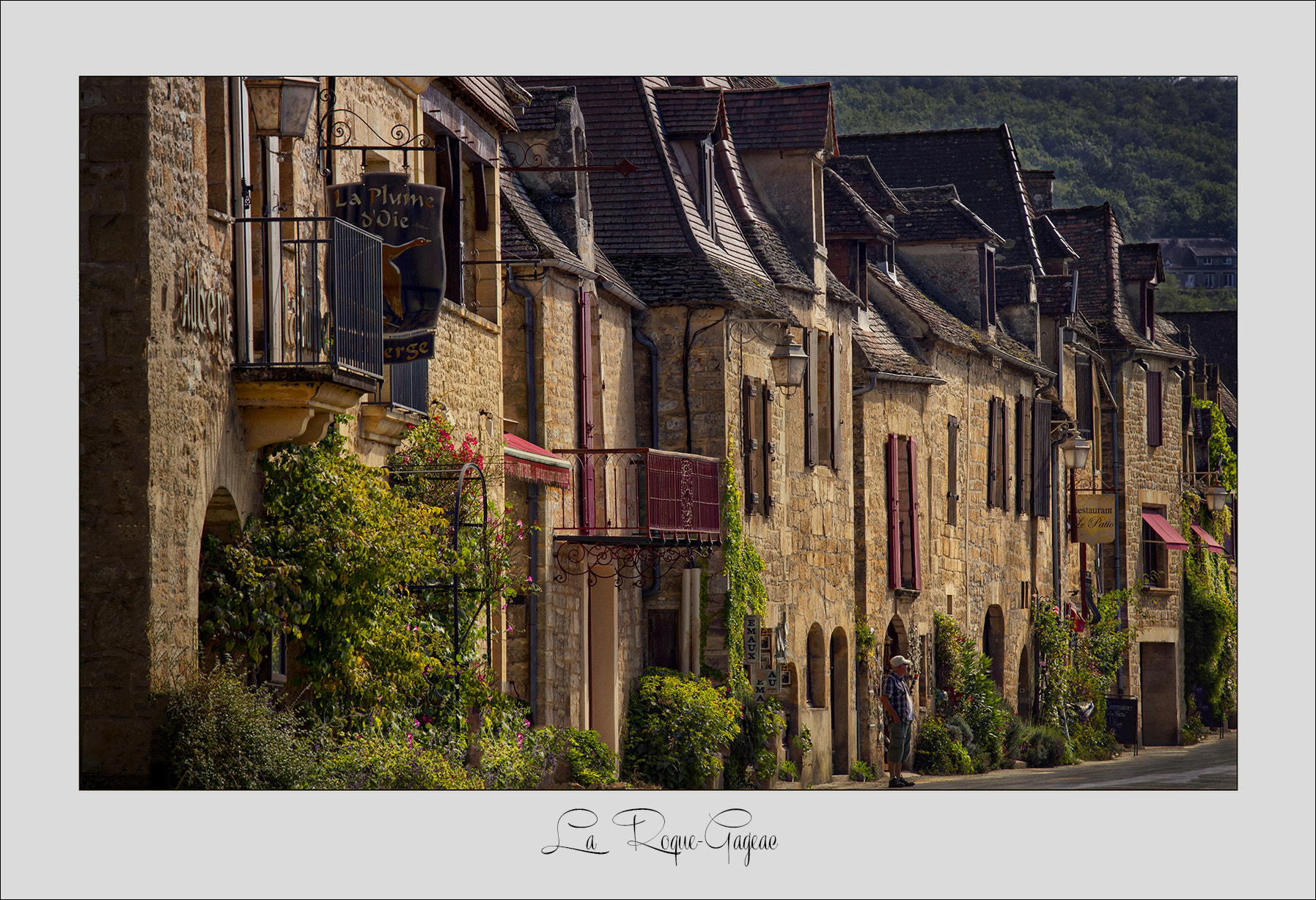 Canon EOS-1Ds Mark III sample photo. La roque gageac photography