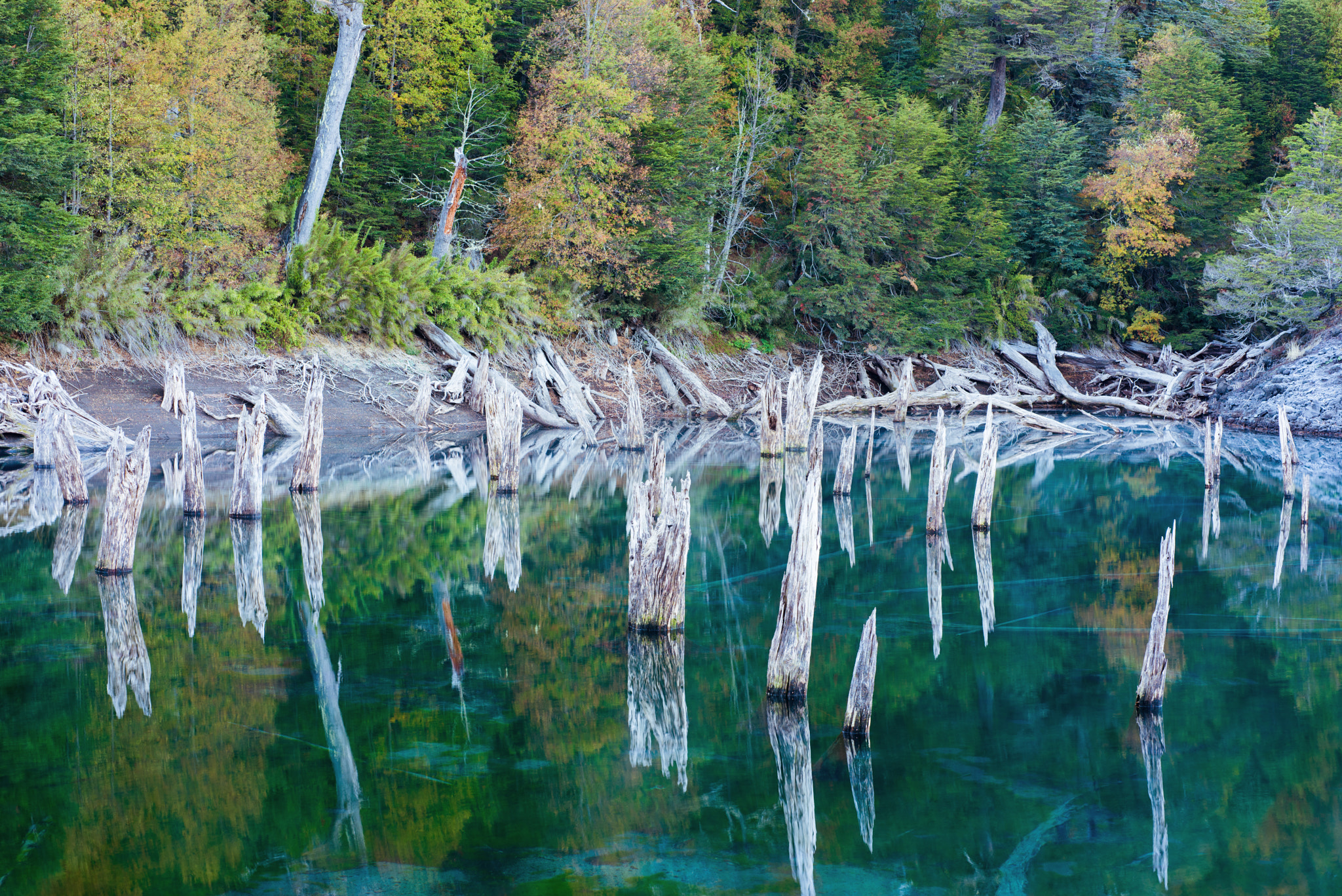 Nikon D810 + Nikon AF Micro-Nikkor 60mm F2.8D sample photo. Rainbow lagoon photography