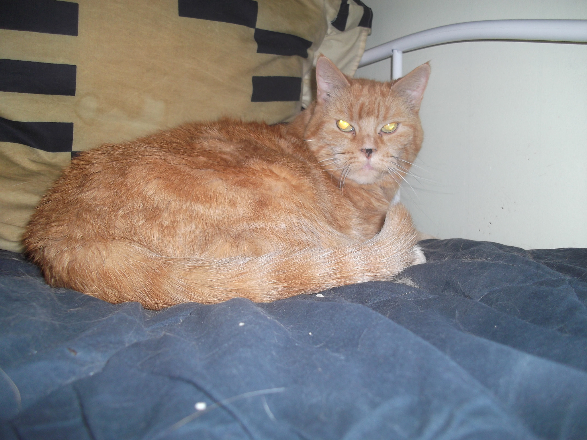 Fujifilm FinePix AV180 sample photo. 025.jpg photography