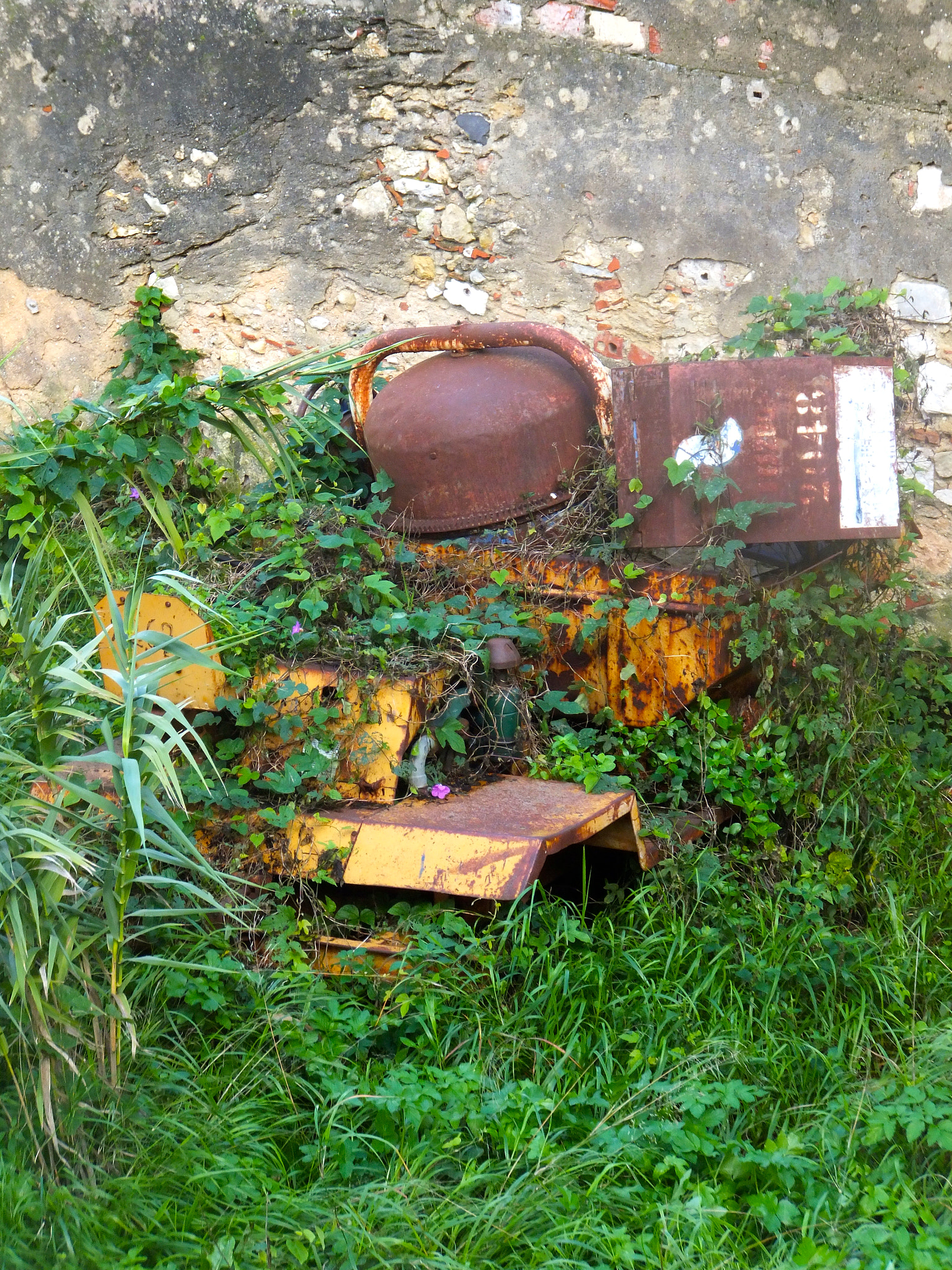 Fujifilm FinePix F600 EXR sample photo. Rust and stone photography
