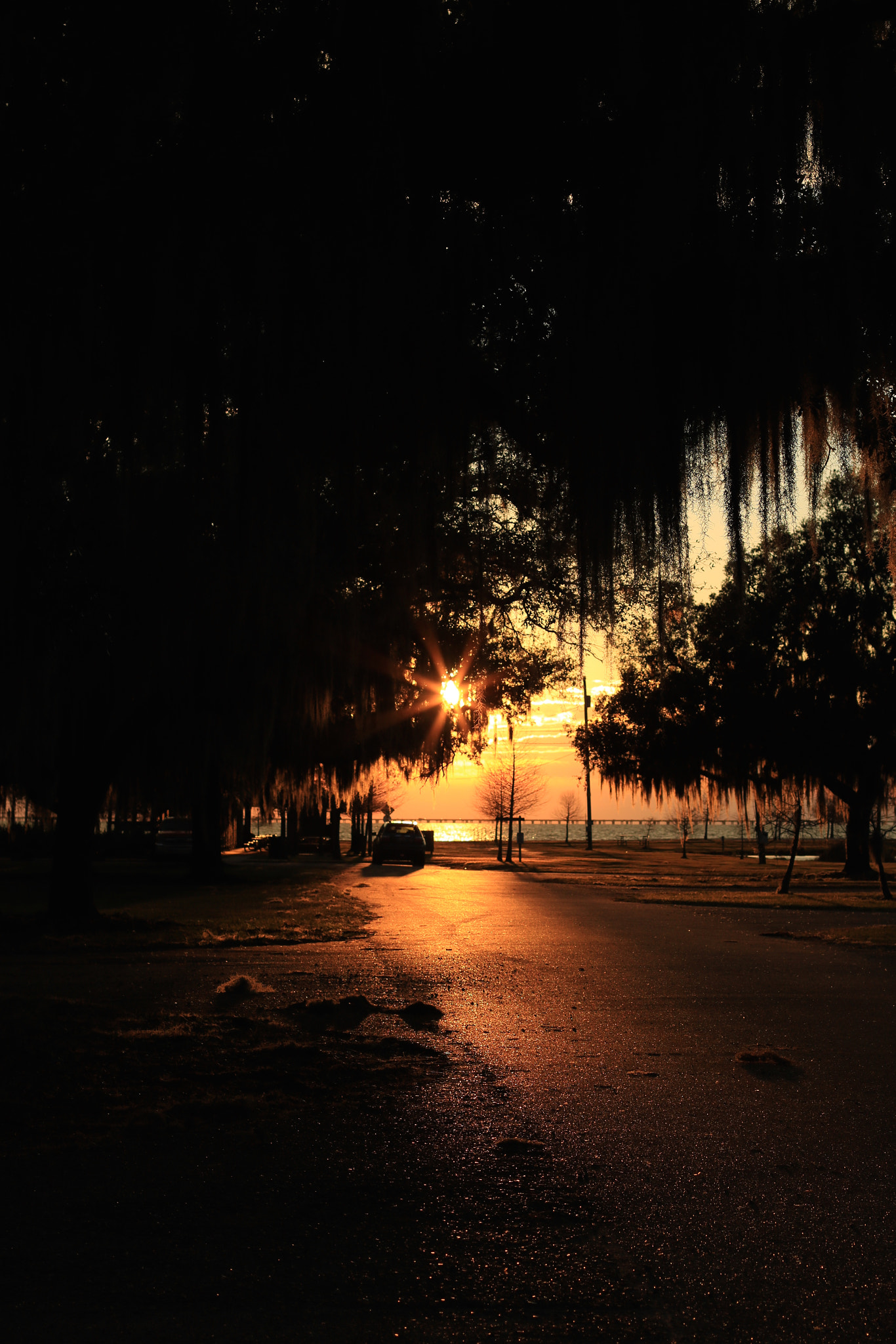 Canon EOS 750D (EOS Rebel T6i / EOS Kiss X8i) + Canon EF 50mm F1.4 USM sample photo. Sunset, louisiana photography