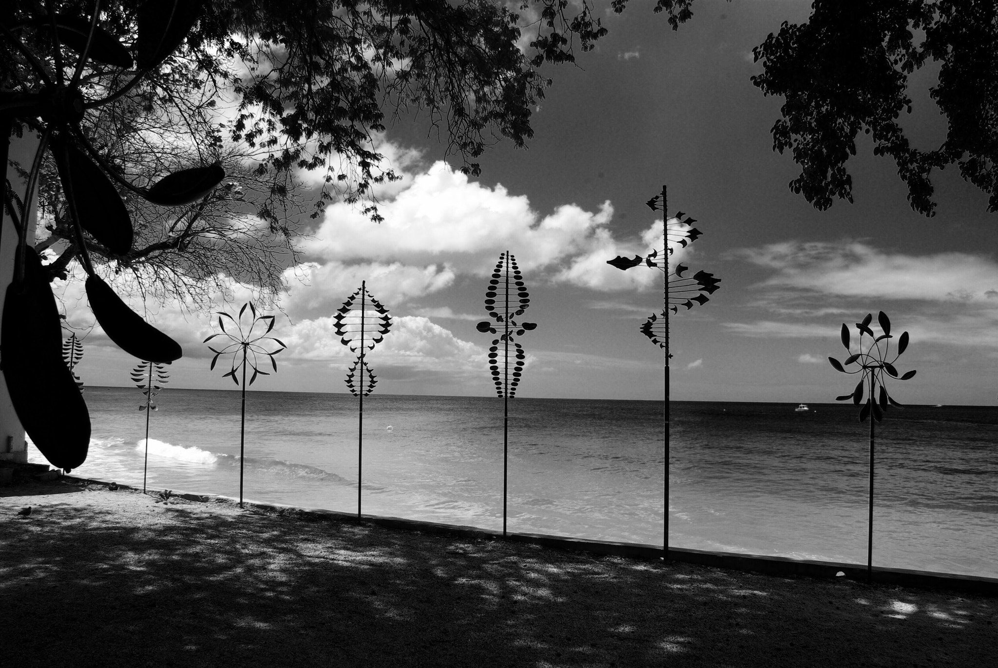 Pentax K10D sample photo. Wind photography