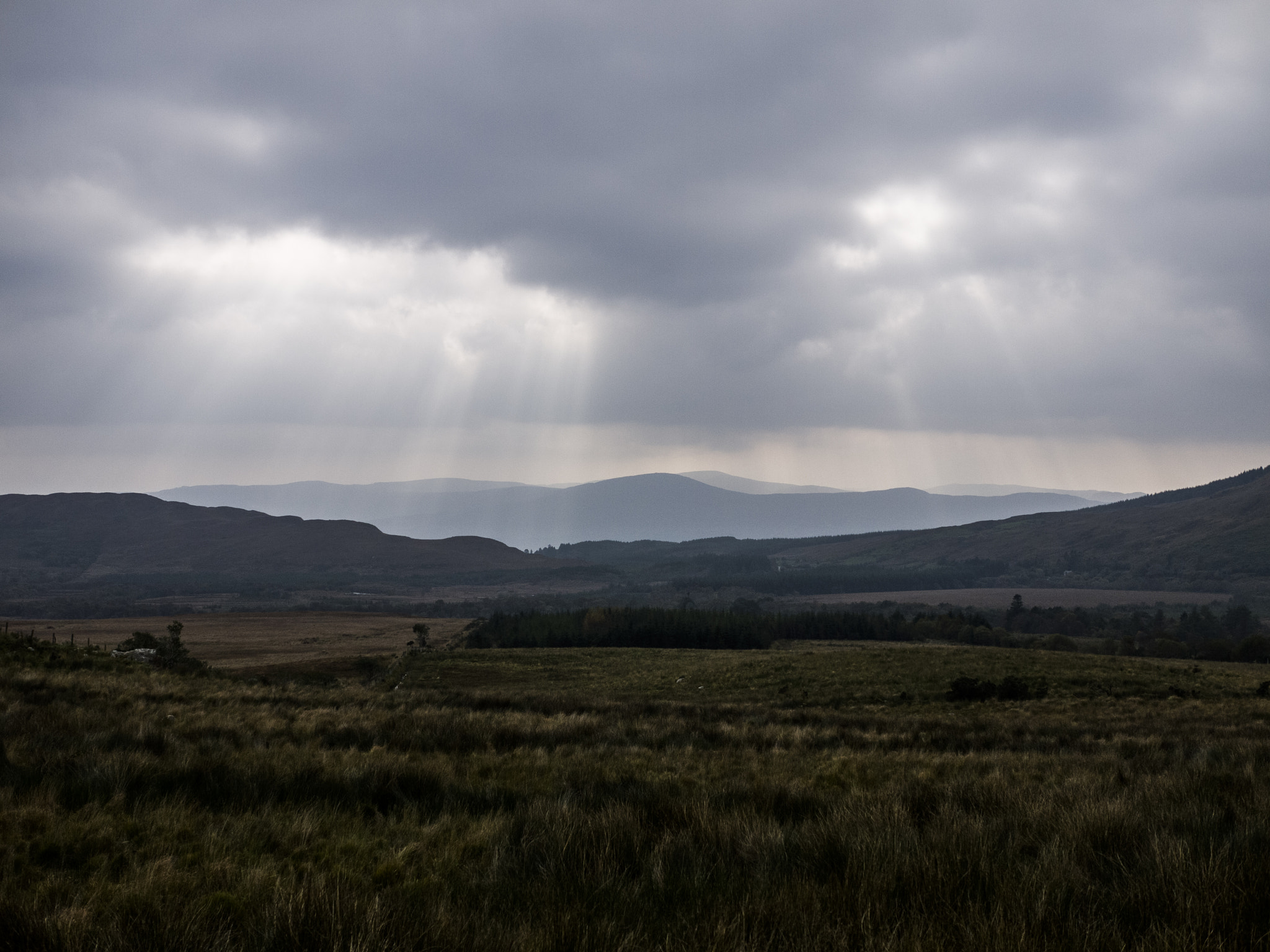 Panasonic Lumix DMC-G2 sample photo. Rays of sunlight in killarney photography