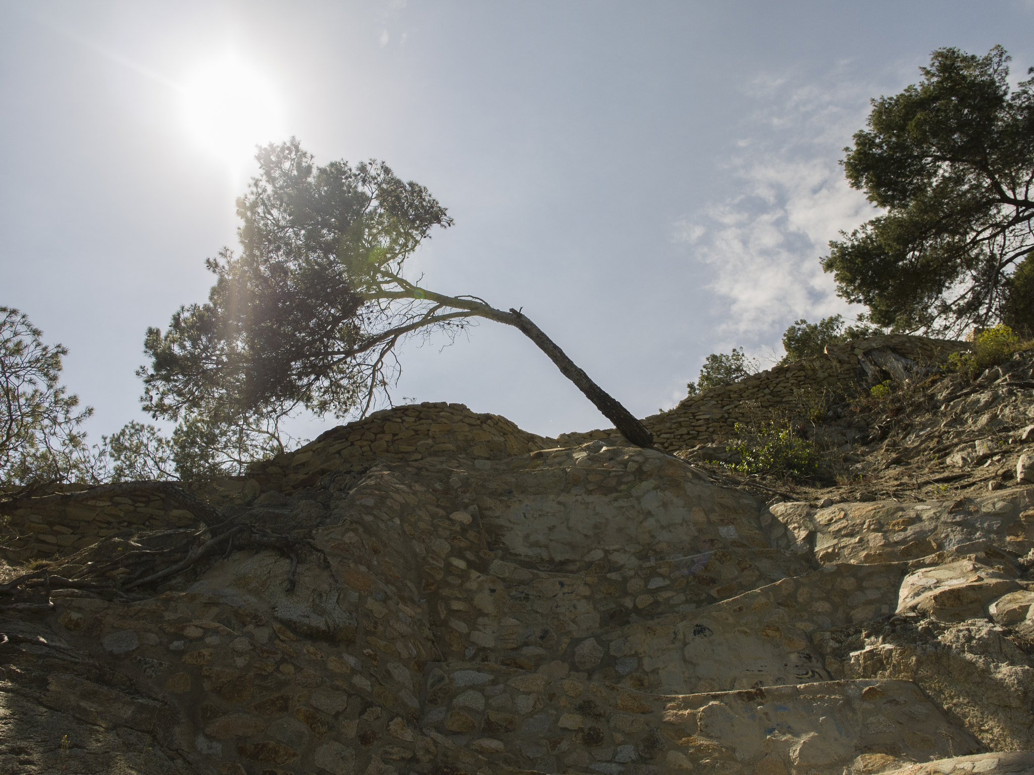 Panasonic Lumix DMC-G2 + OLYMPUS M.12mm F2.0 sample photo. Growing pains in laurent del mar photography