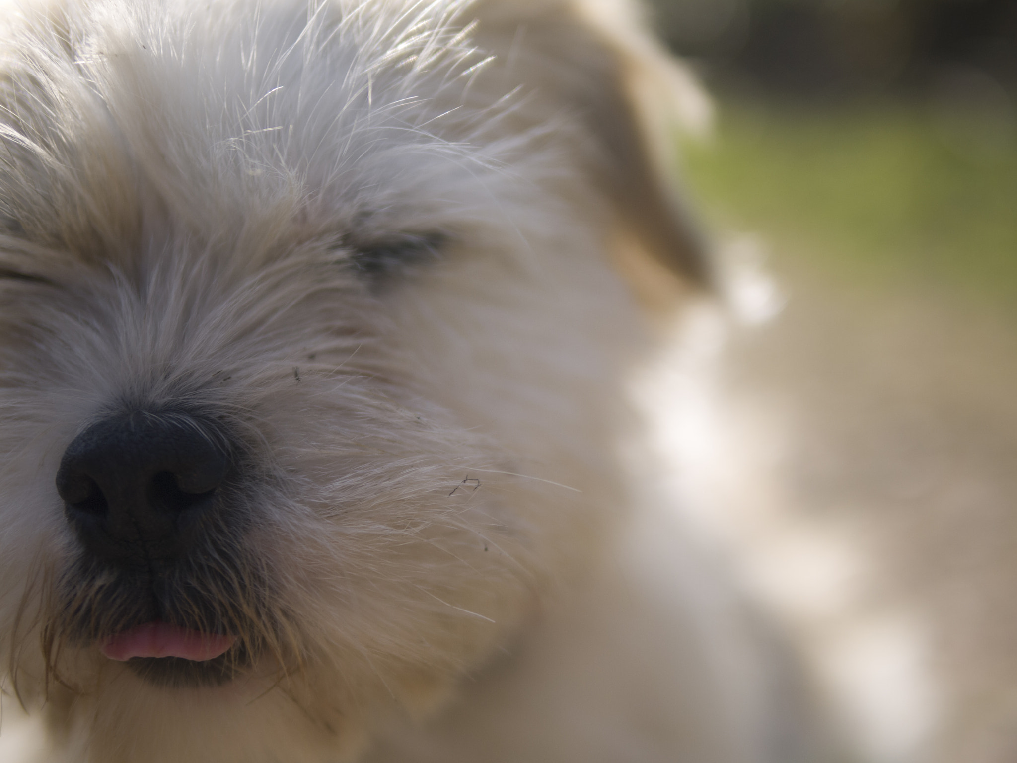 Panasonic Lumix DMC-G2 sample photo. Face blowing in the breeze photography
