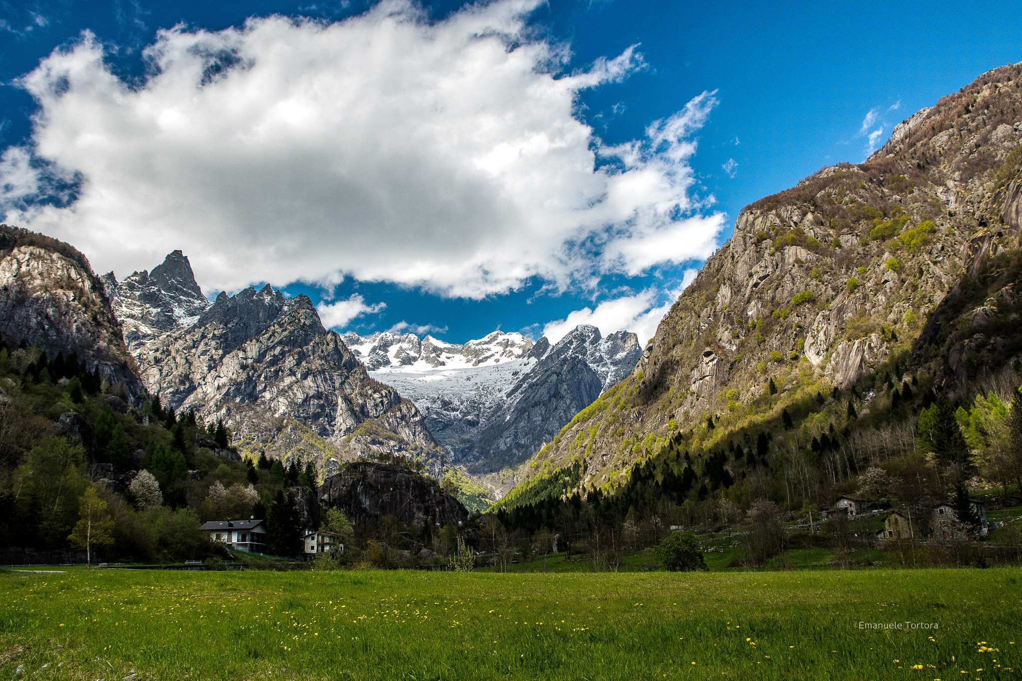 Nikon D7100 + Sigma 17-70mm F2.8-4 DC Macro OS HSM | C sample photo. Val masino photography