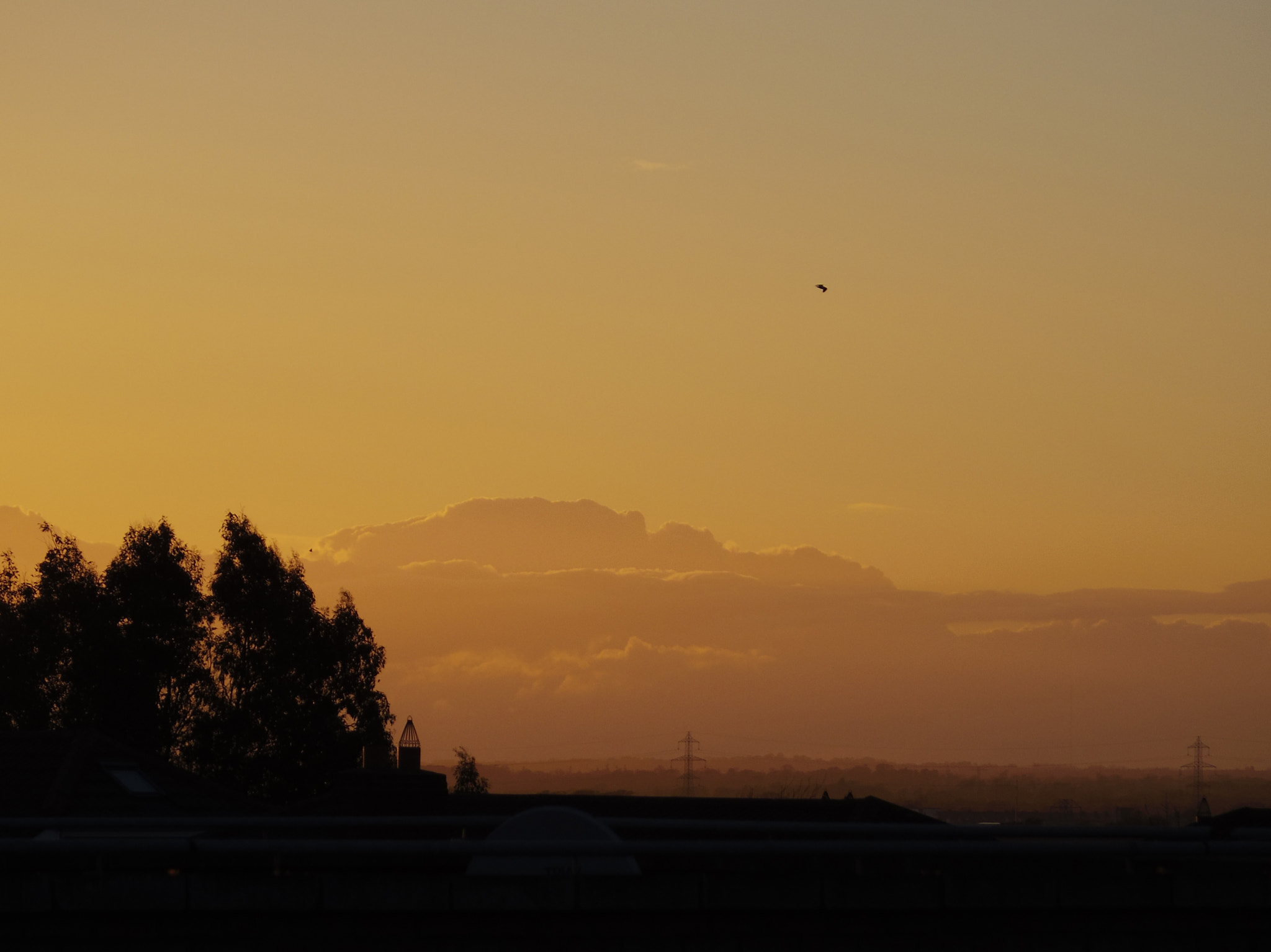 Pentax Q10 sample photo. Bye photography