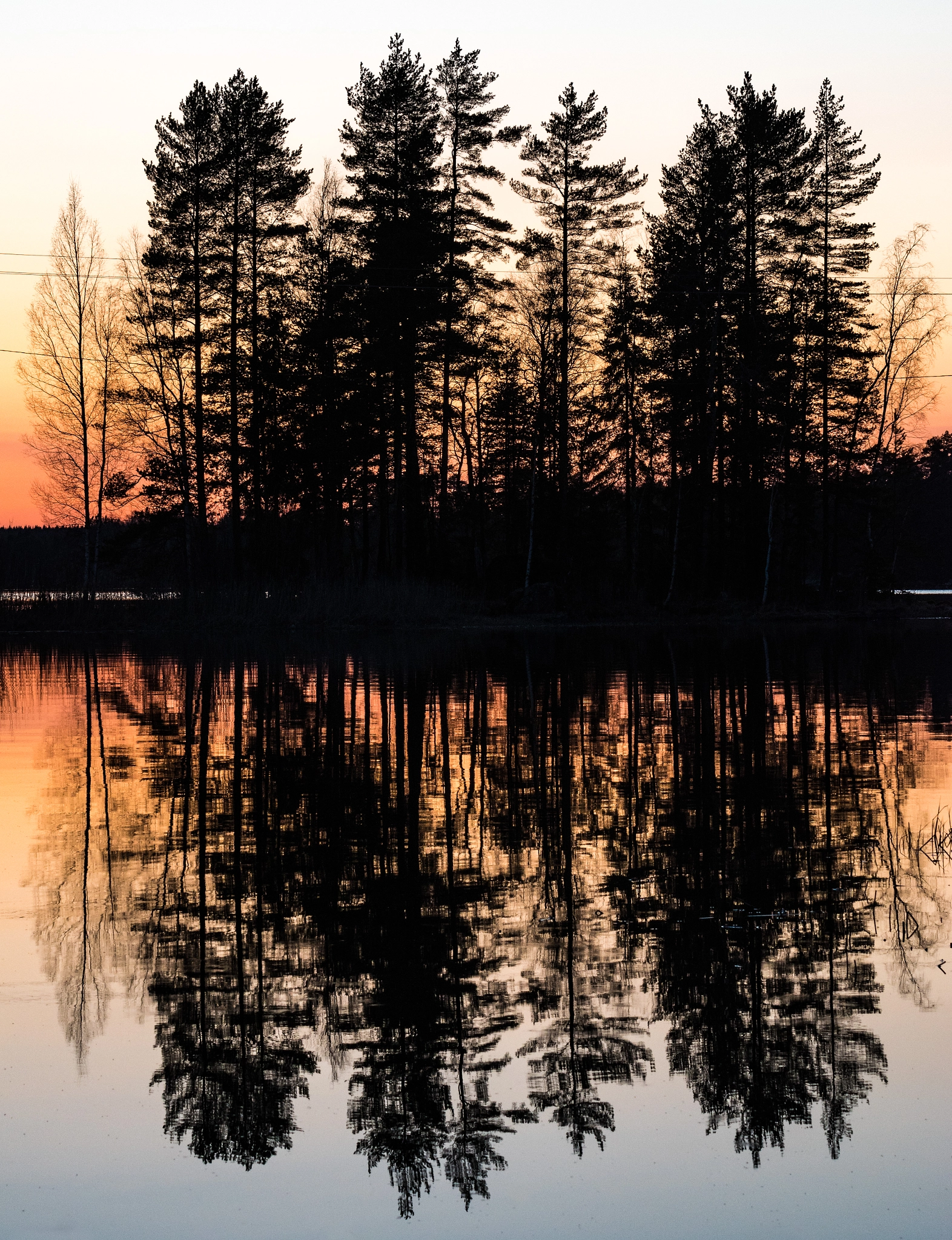 Nikon AF-S Nikkor 70-200mm F4G ED VR sample photo. Woods reflection photography
