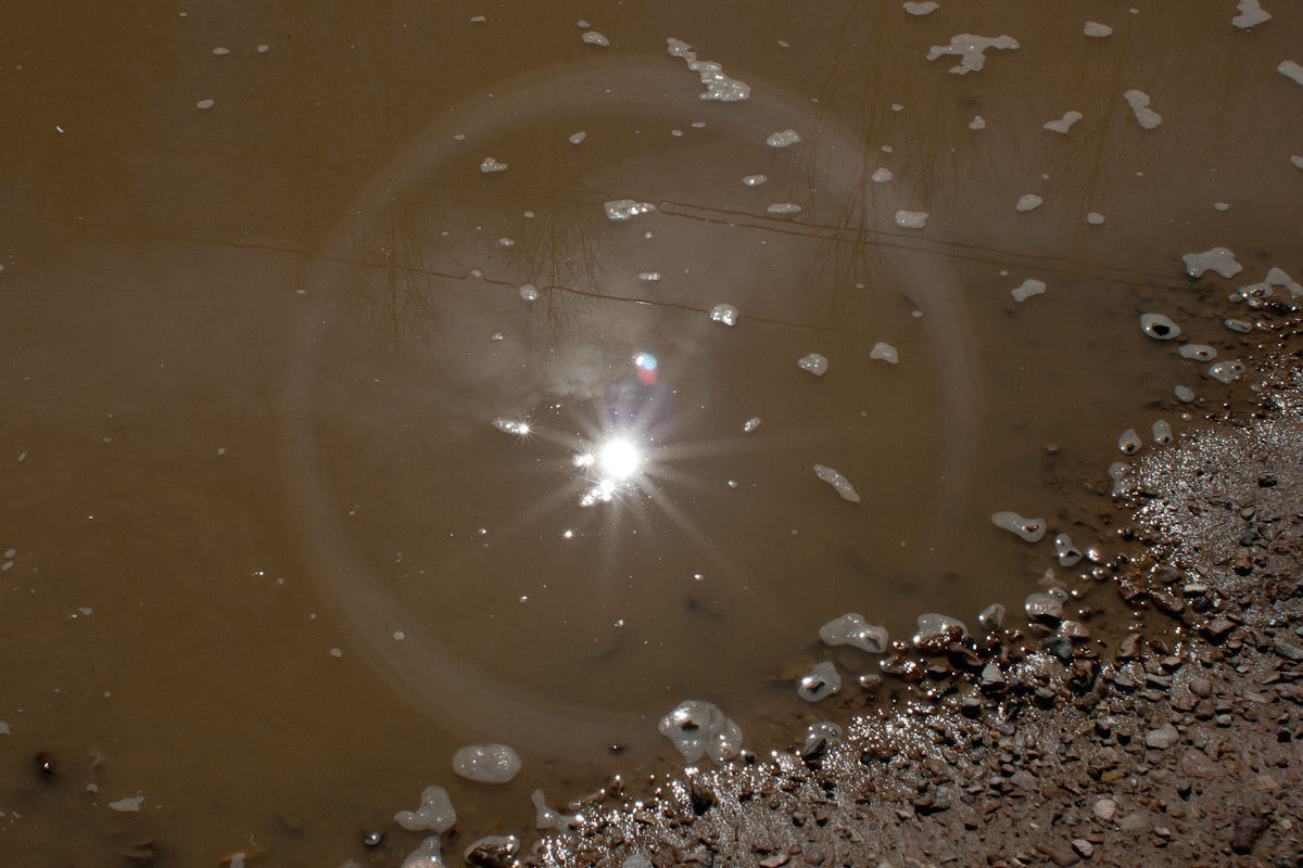 Canon EF 28mm F1.8 USM sample photo. The sun in a puddle photography
