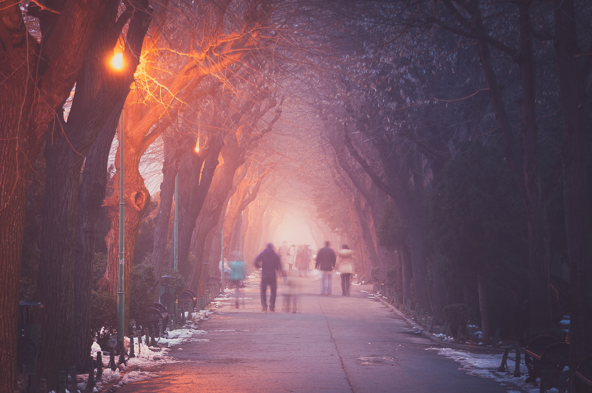AF Zoom-Nikkor 35-105mm f/3.5-4.5 sample photo. Streets of bucharest photography