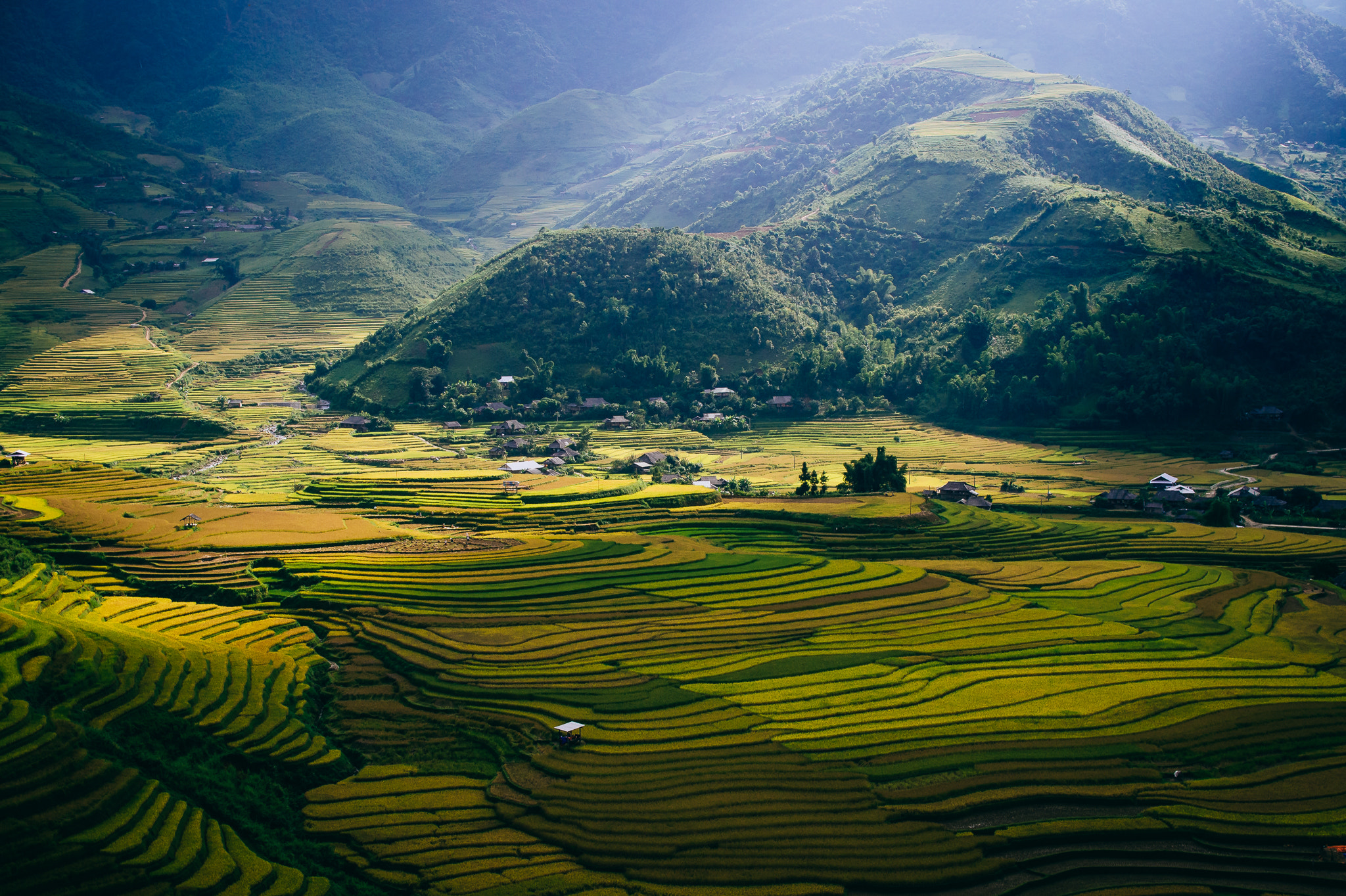 Olympus PEN E-PM2 + Olympus M.Zuiko Digital 25mm F1.8 sample photo. Rice terrace field in mu cang chai photography