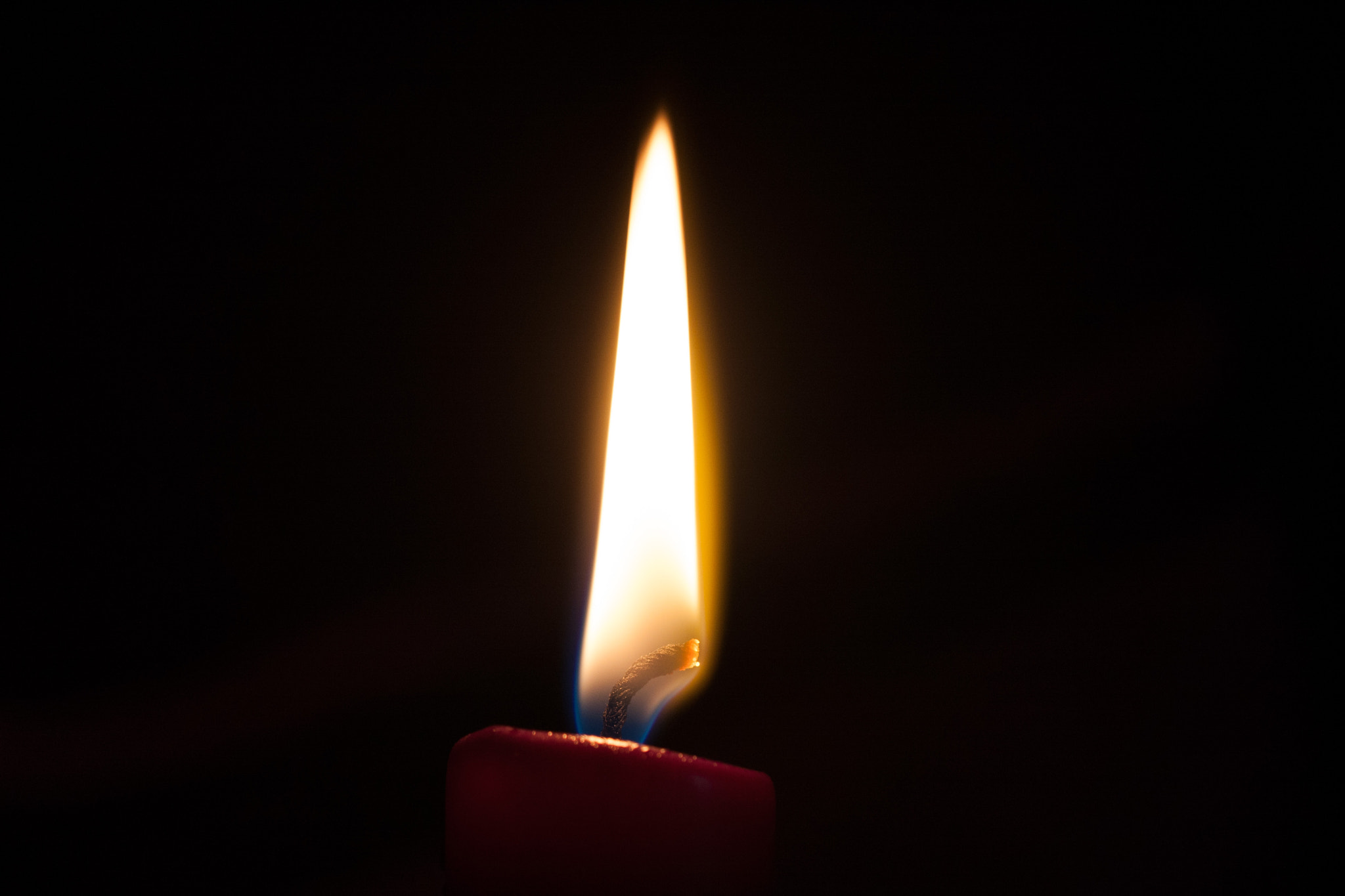 Sigma APO Macro 150mm f/2.8 EX DG HSM sample photo. Candlelight photography