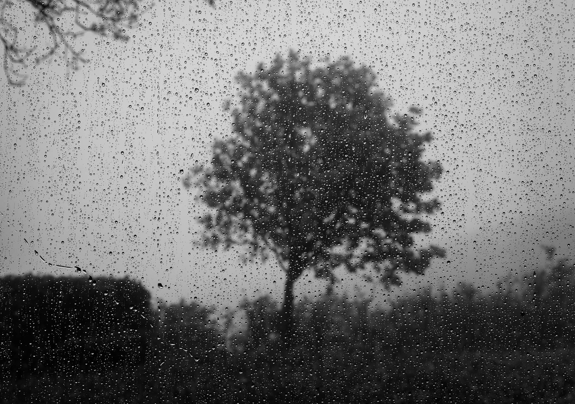 Noctilux-M 1:1/50 sample photo. Rainy day photography