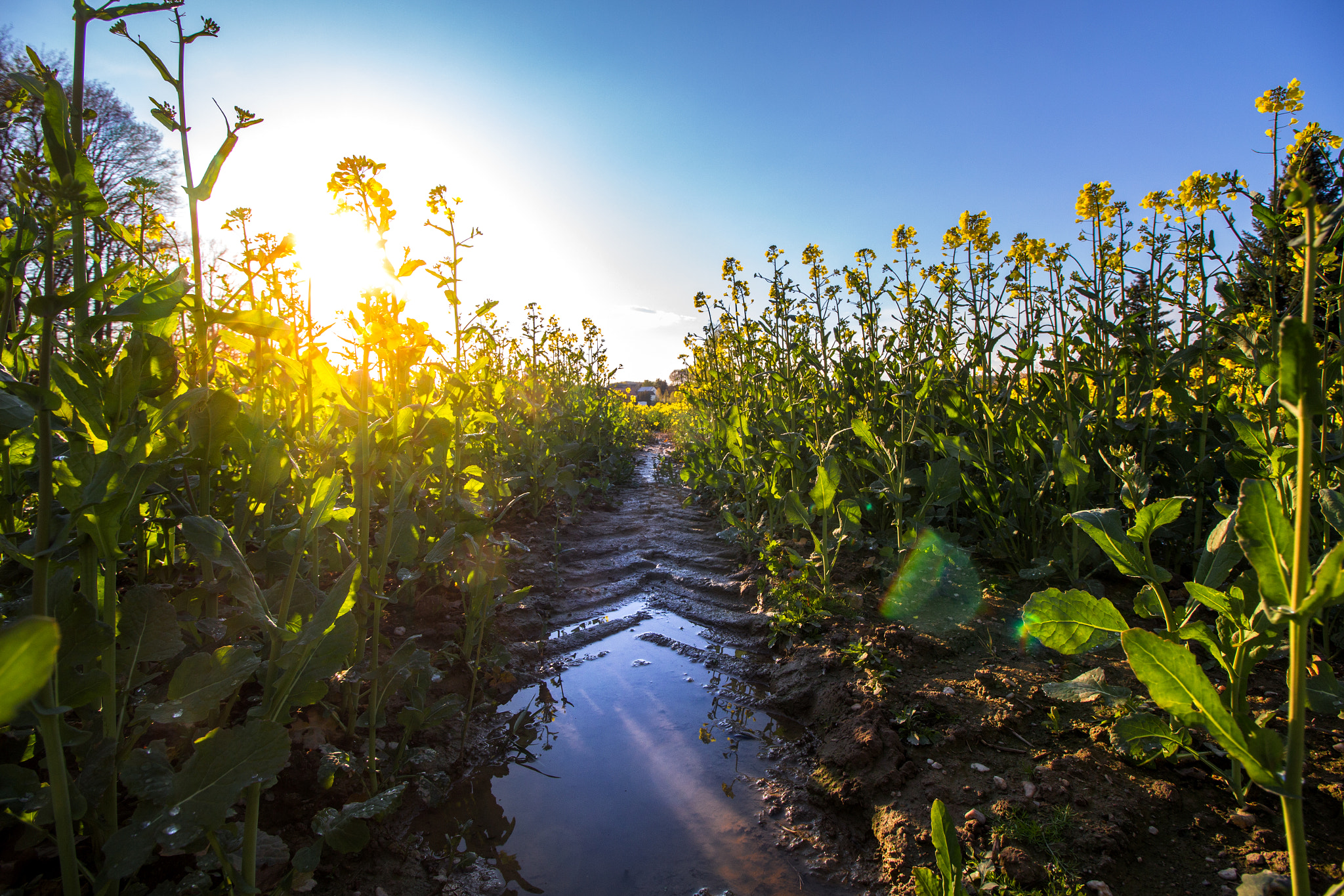 Canon EF-S 10-18mm F4.5–5.6 IS STM sample photo. Sunset photography