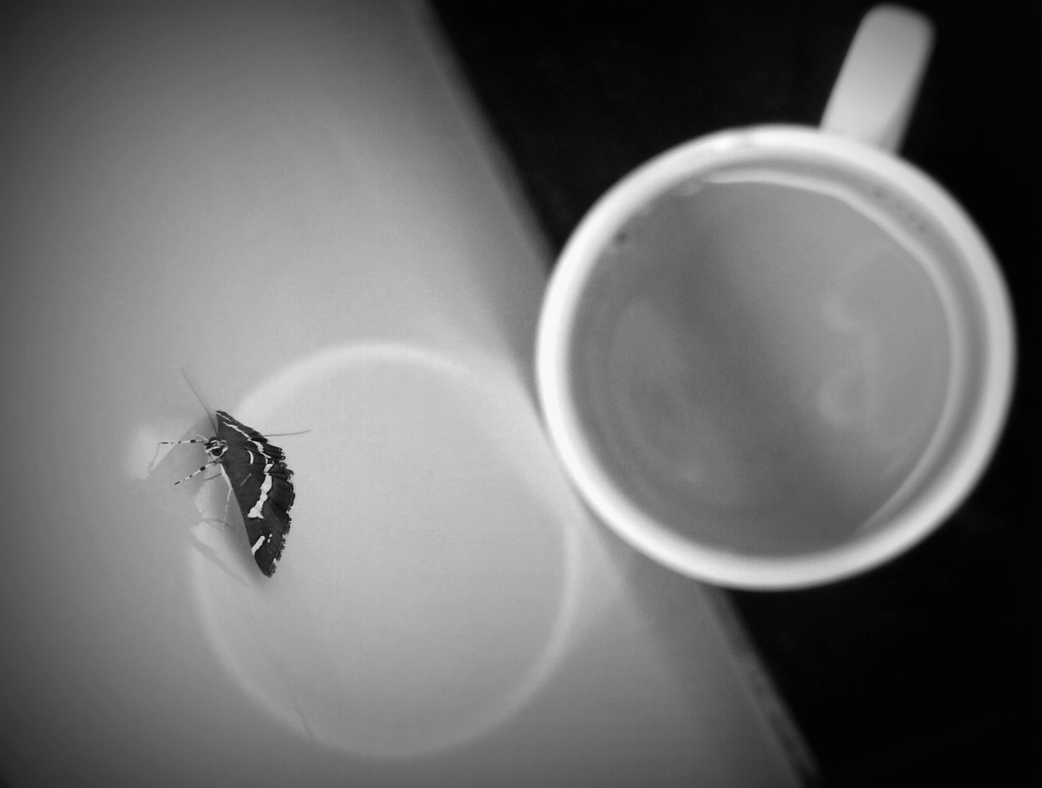 Xiaomi Mi 4i sample photo. Catalog of the misunderstood photography
