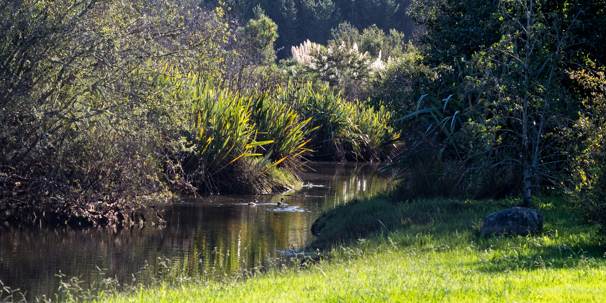 Pentax K-5 sample photo. Pauanui golf course photography