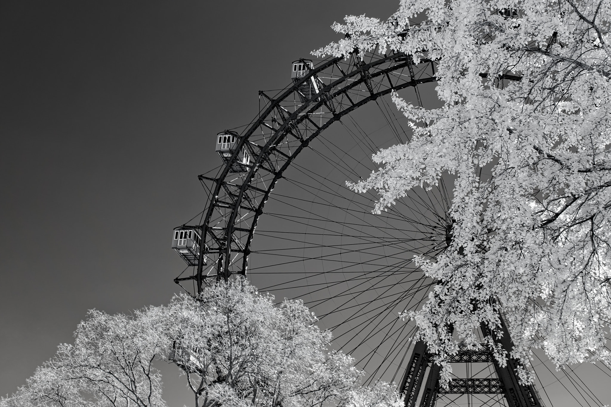 Sony Alpha NEX-5R + Sigma 30mm F2.8 EX DN sample photo. Riesenrad ir photography