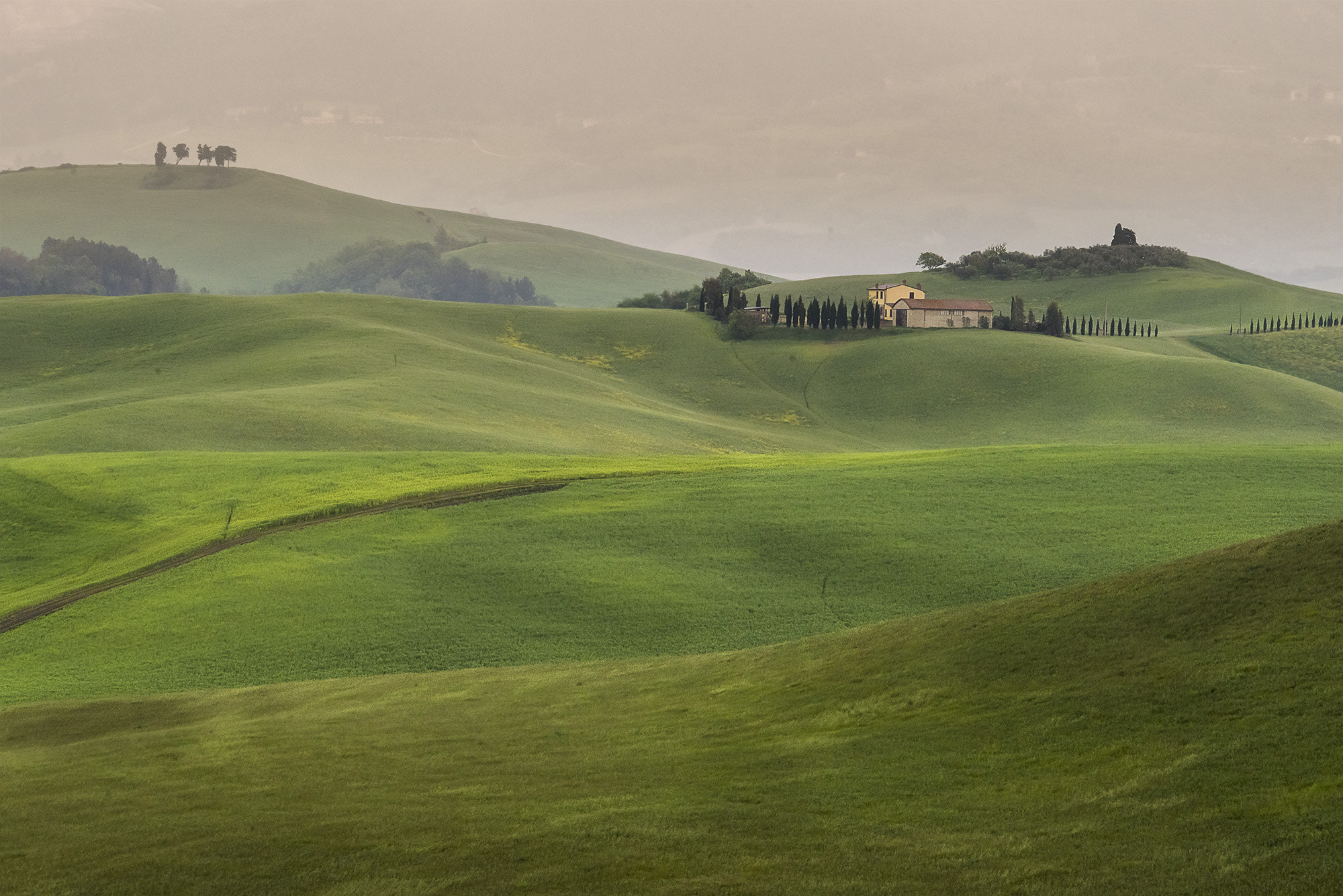 Sigma 120-400mm F4.5-5.6 DG OS HSM sample photo. Peinture toscane photography