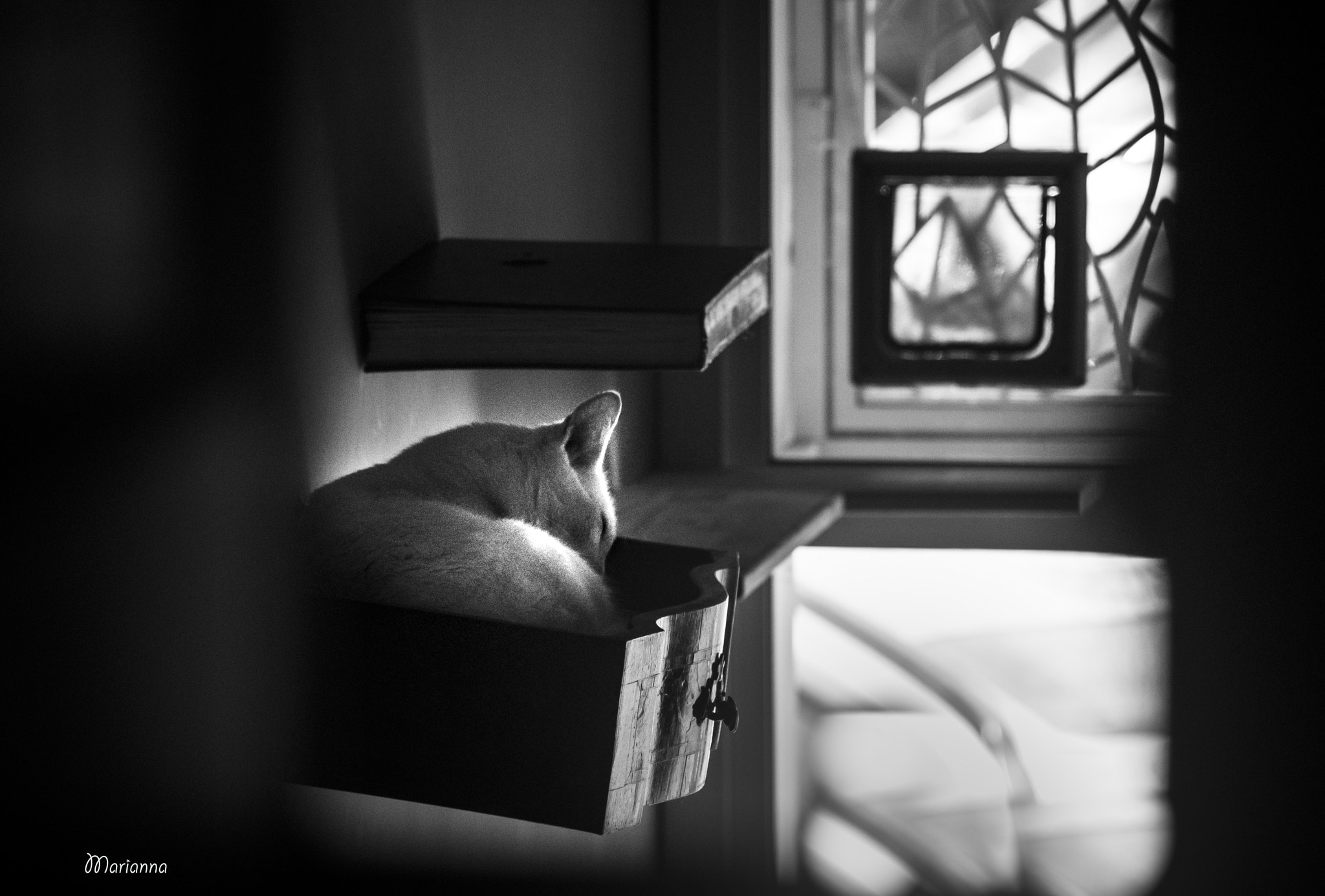 Sony Alpha DSLR-A200 sample photo. Secret dreams photography