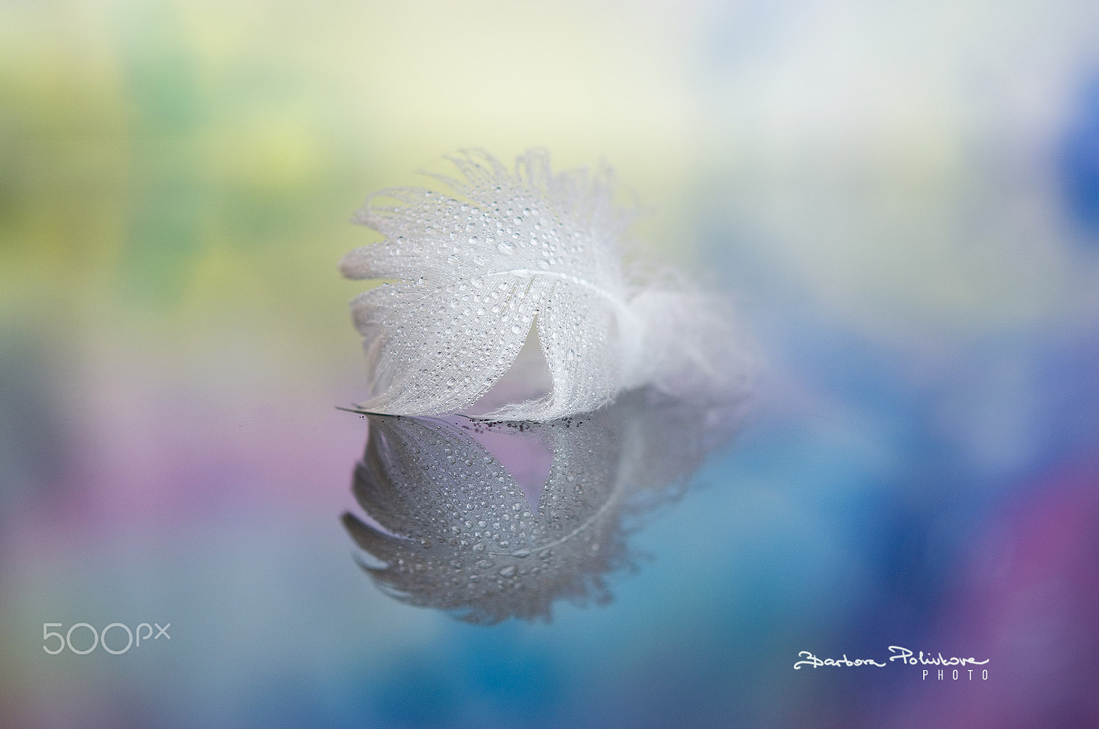 Nikon AF-S Micro-Nikkor 60mm F2.8G ED sample photo. Time for dreams photography