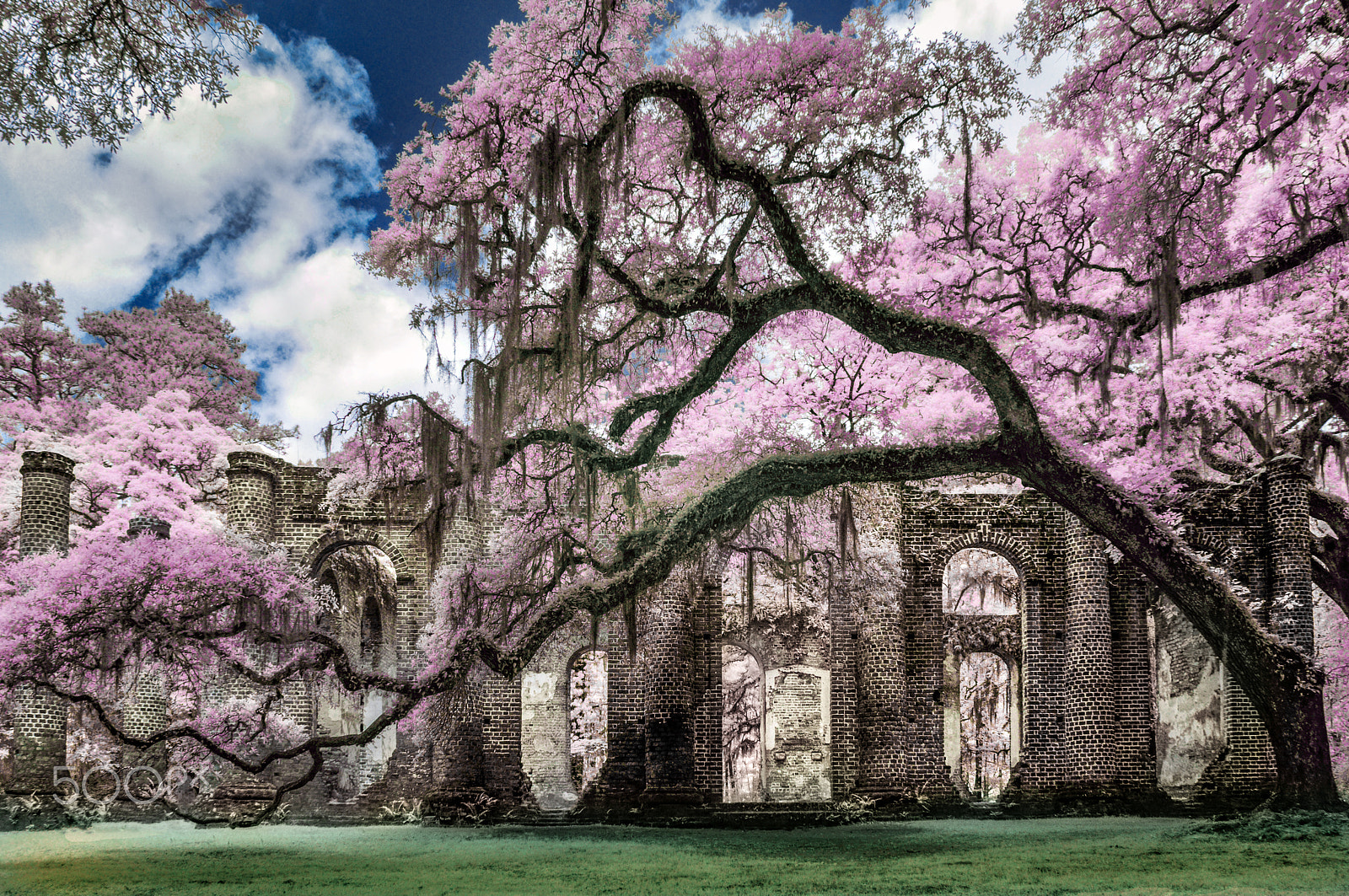 Nikon D300S sample photo. Old sheldon church ruins photography