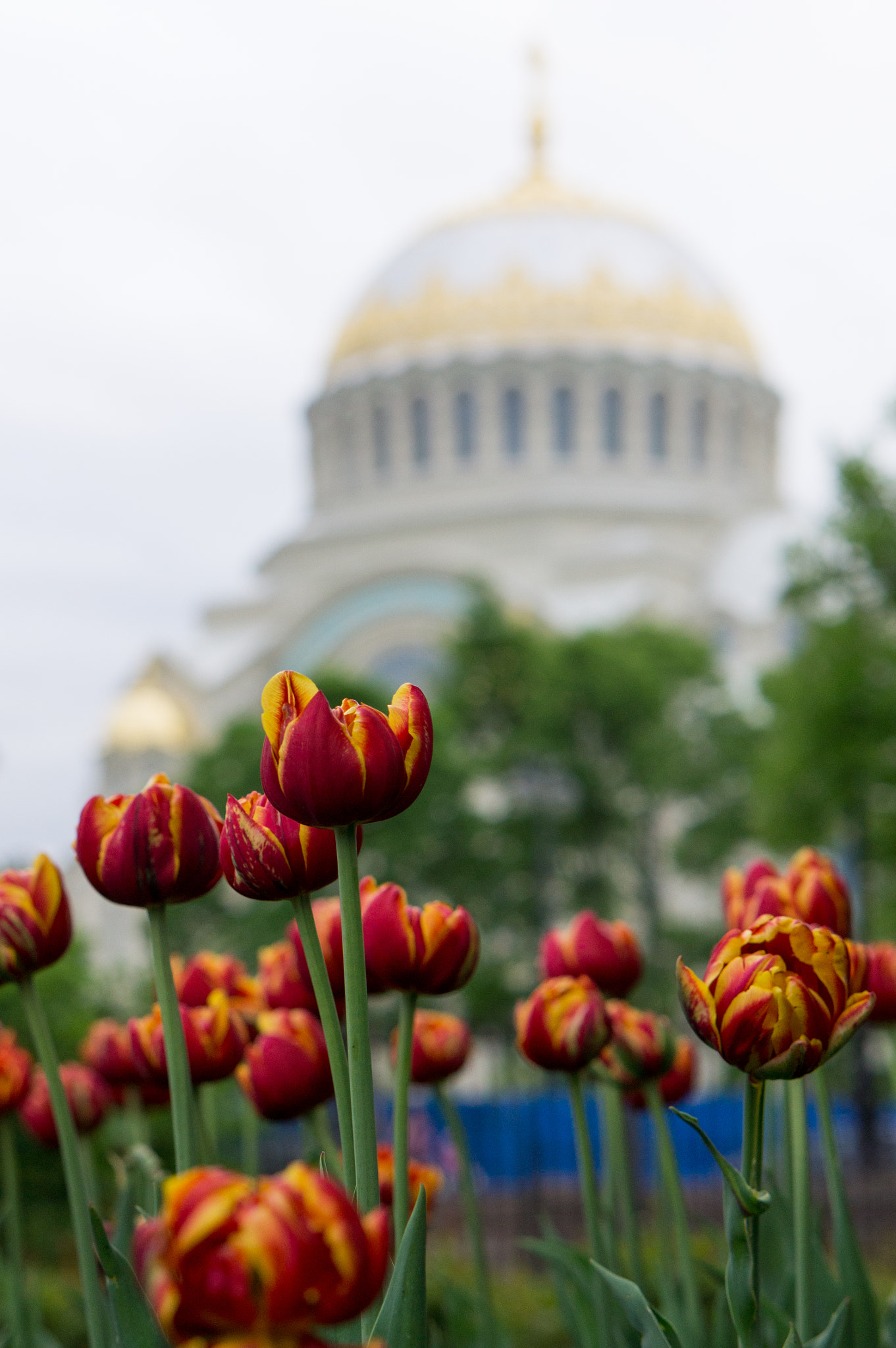 Sony Alpha NEX-5N + E 50mm F1.8 OSS sample photo. Kronstadt naval cathedral. photography
