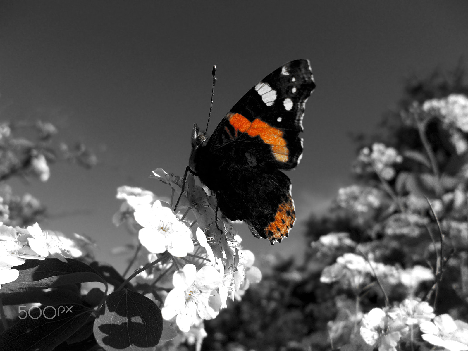 Nikon COOLPIX L27 sample photo. Colouring the world photography