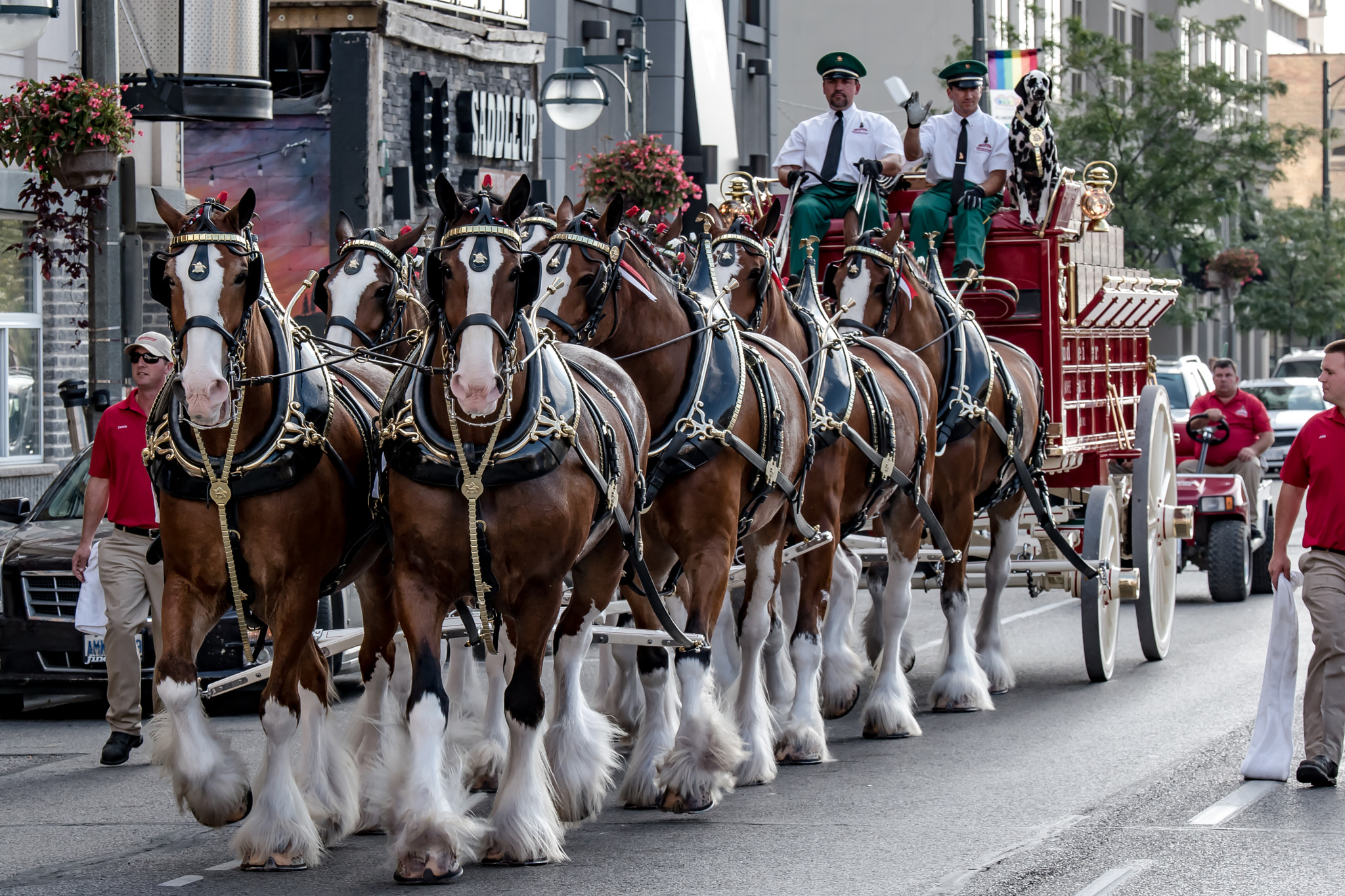Nikon AF-S Nikkor 70-200mm F2.8G ED VR II sample photo. Budweiser team photography