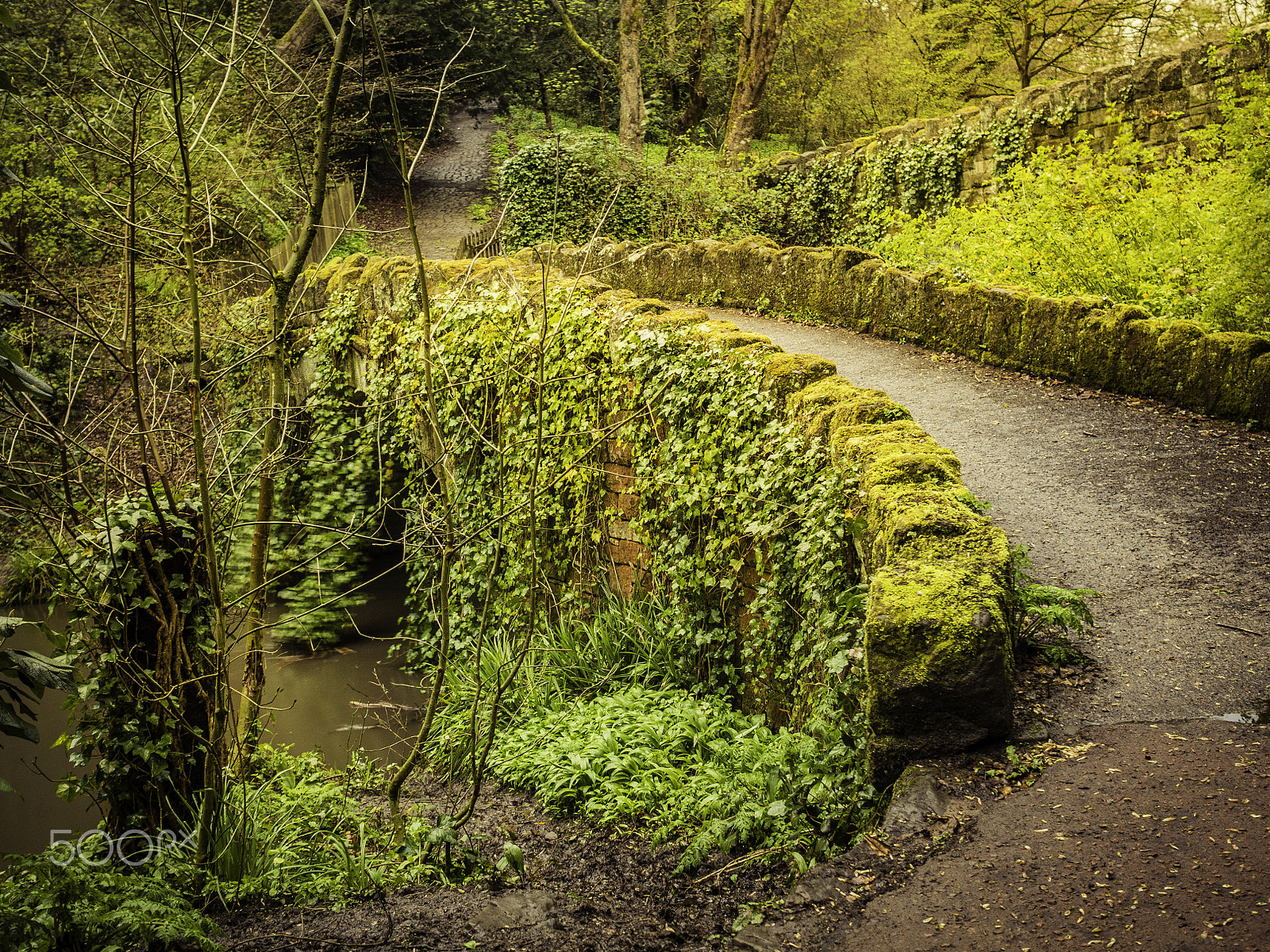 Olympus OM-D E-M10 + Olympus M.Zuiko Digital 17mm F1.8 sample photo. The trolls cavern photography