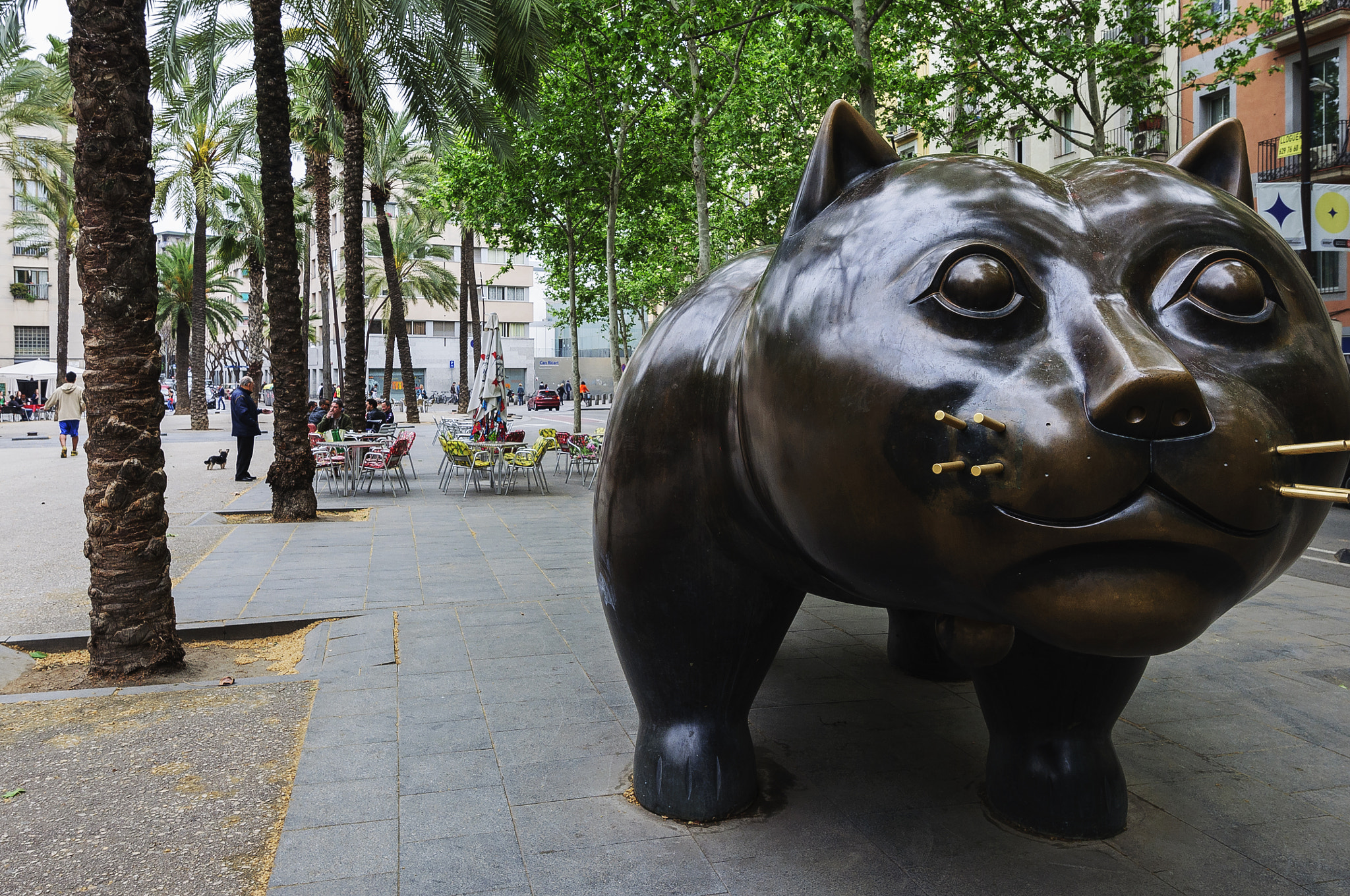 Nikon AF-S Nikkor 16-35mm F4G ED VR sample photo. Barcelona cat photography
