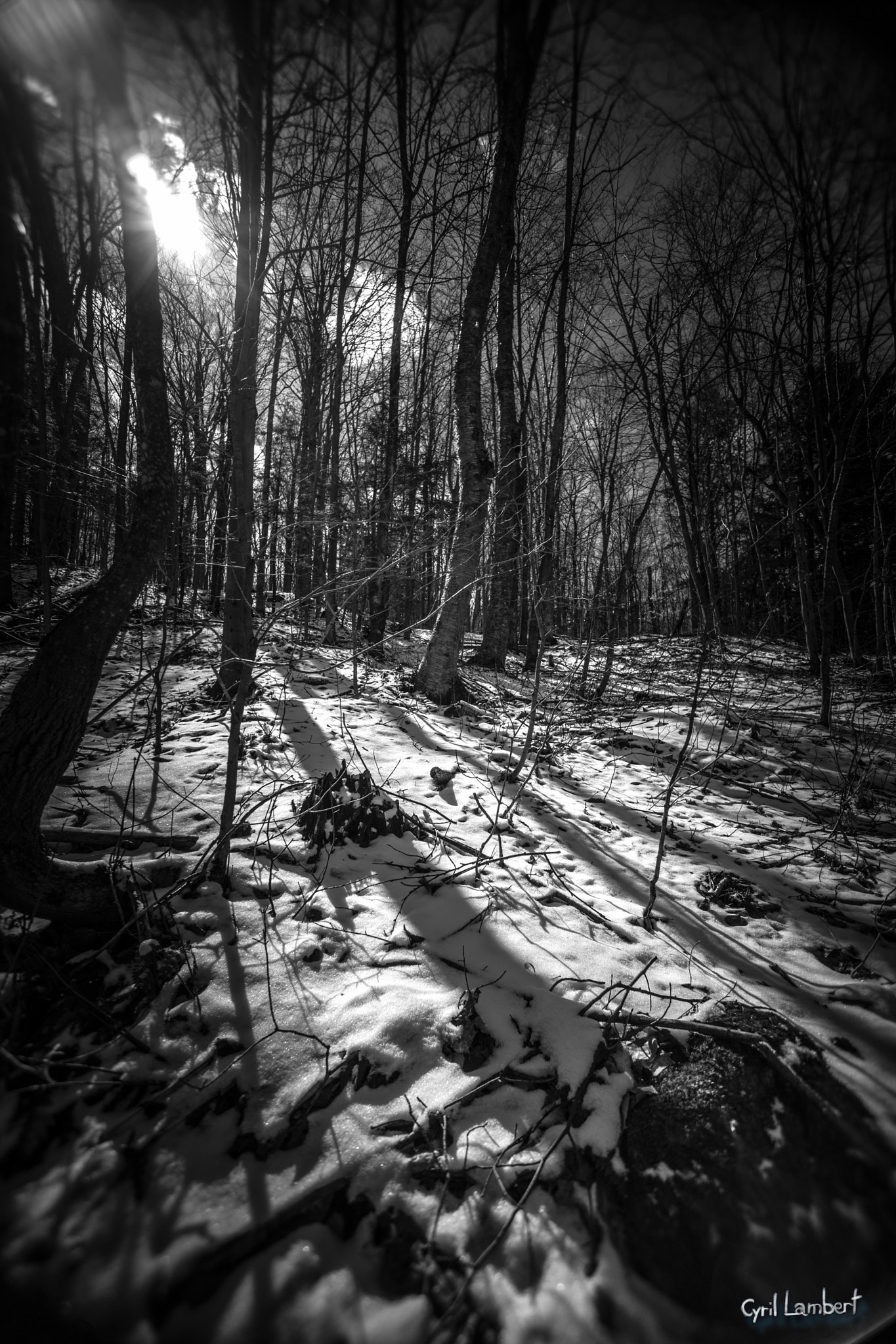 Sony a7 + Sony E 16mm F2.8 sample photo. Meltdown shades photography