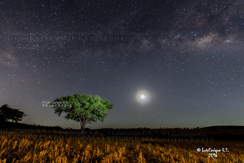 Canon EF-S 10-22mm F3.5-4.5 USM sample photo. Vía láctea, Árbol y luna ( trilogía perfecta ) - puebla - méxico photography