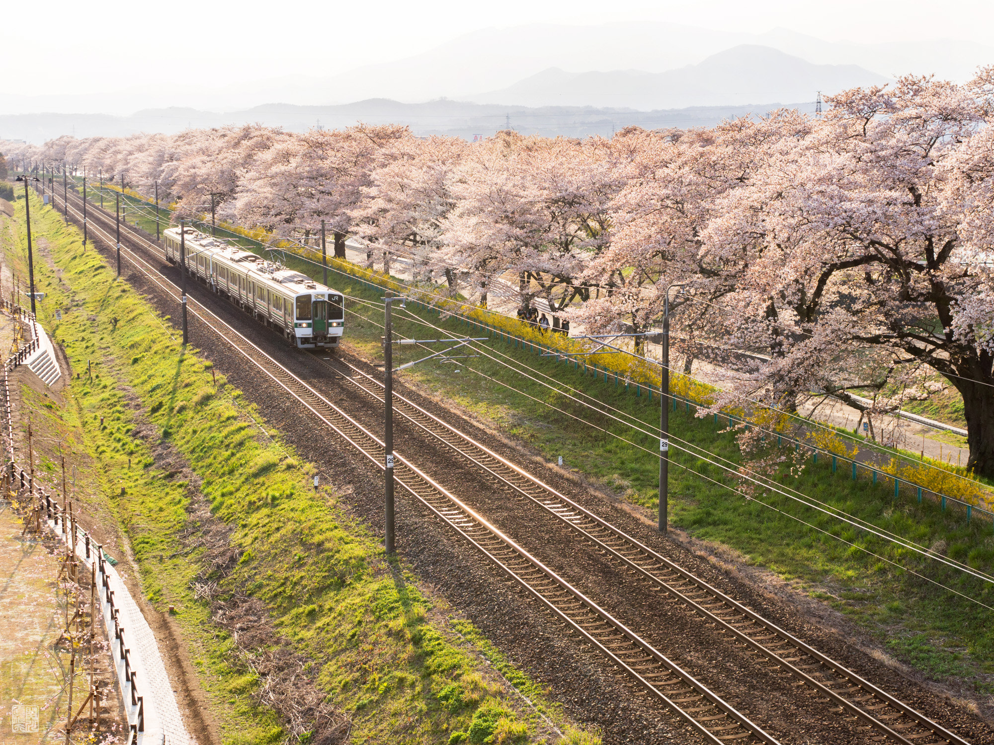 Olympus OM-D E-M10 + Sigma 30mm F2.8 DN Art sample photo. Pass into the spring light photography