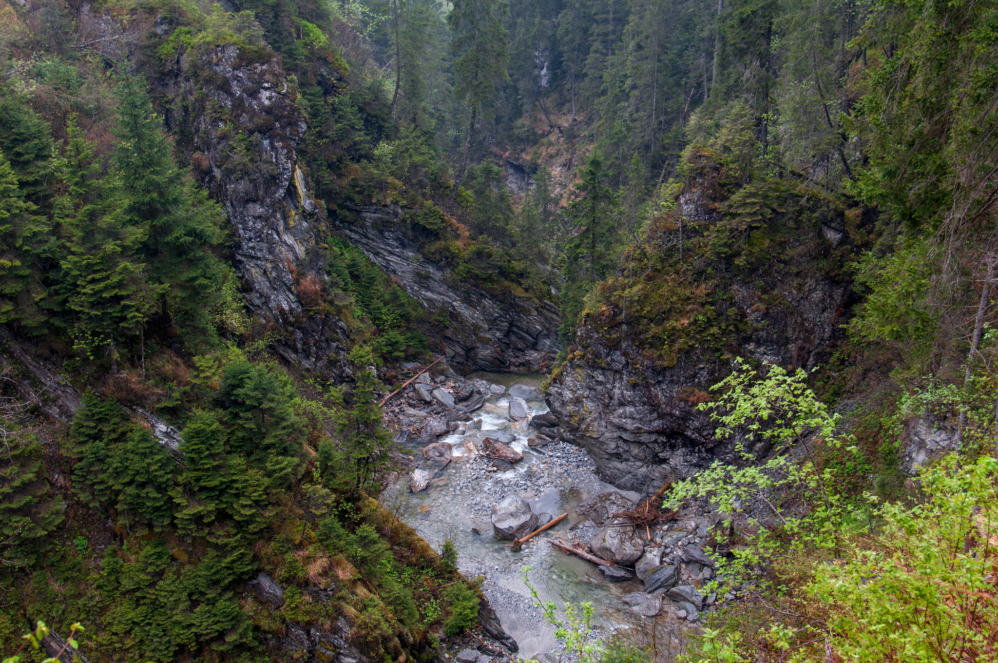 Nikon D300S sample photo. Into the wild photography