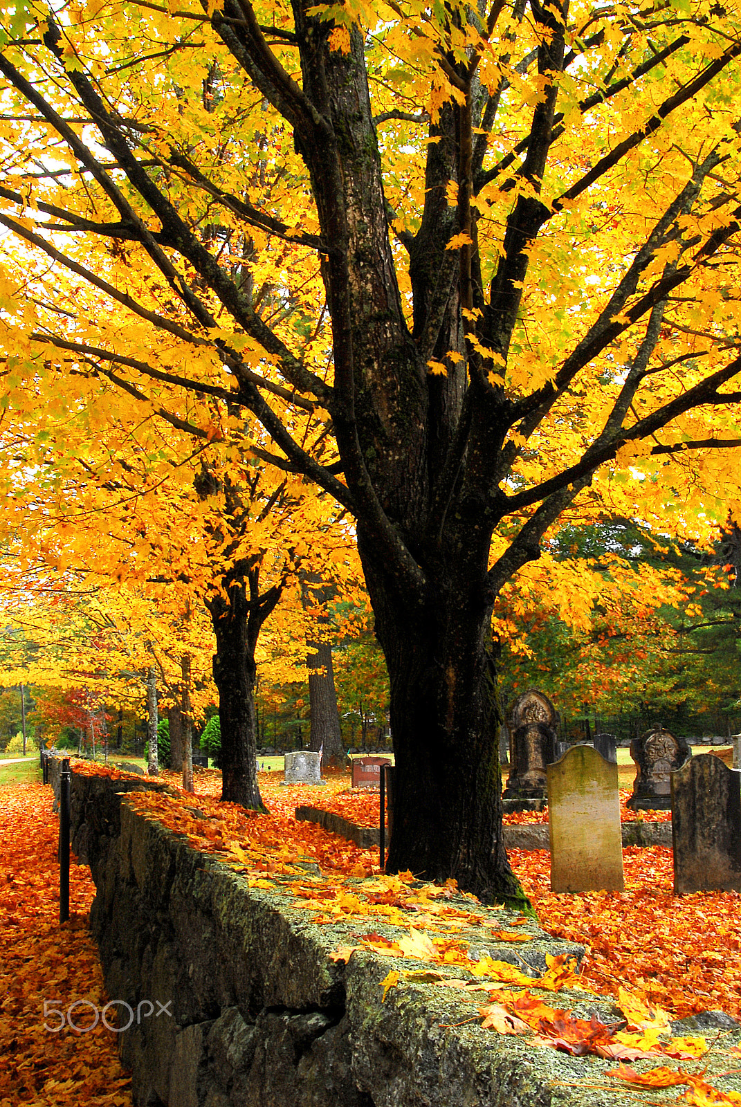 Nikon D200 sample photo. New england photography