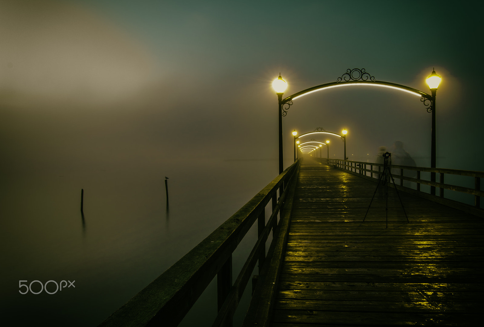 Nikon AF-S Nikkor 14-24mm F2.8G ED sample photo. Ghosts and silhouettes photography