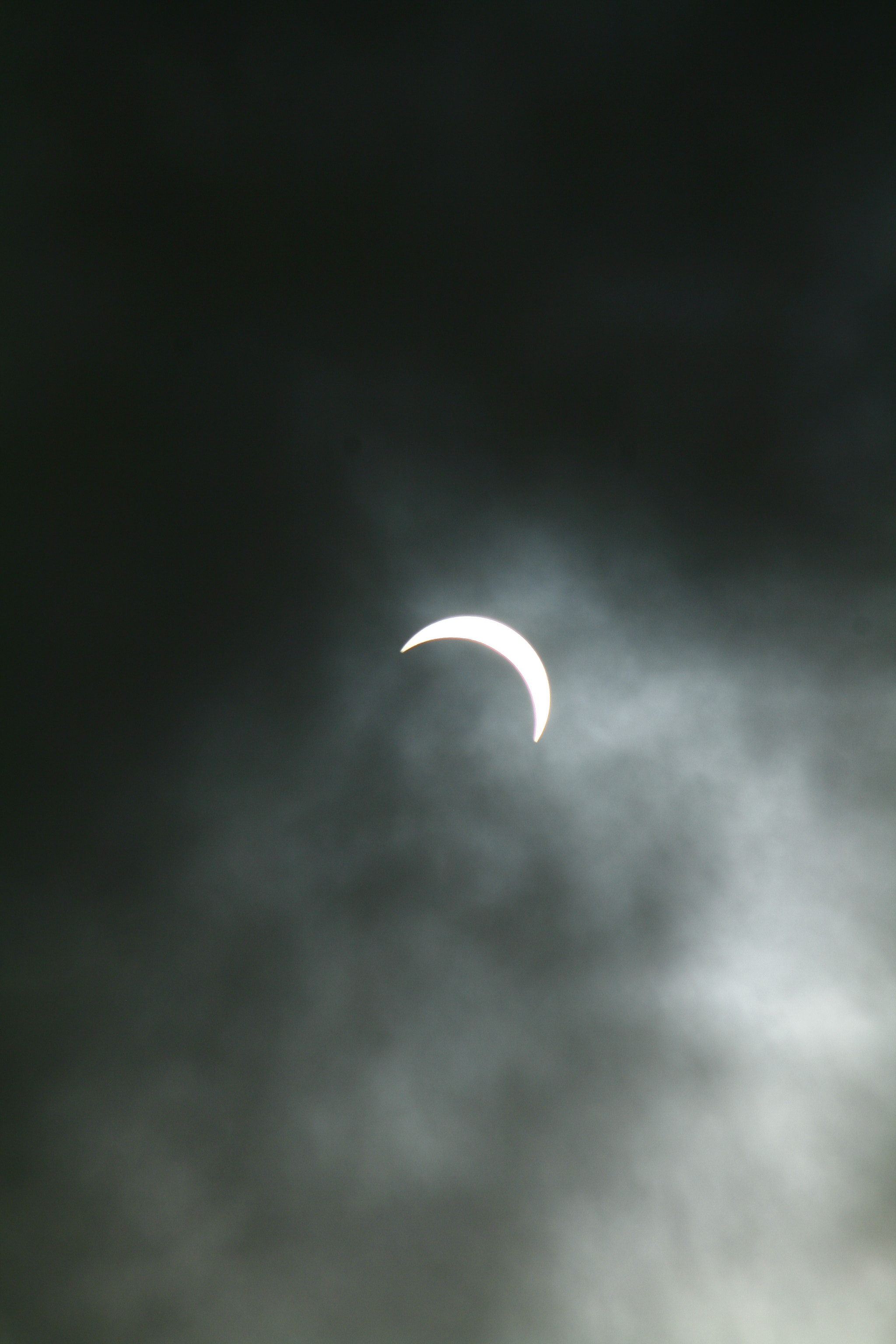 Canon EF 90-300mm F4.5-5.6 sample photo. Dishtikpix photography