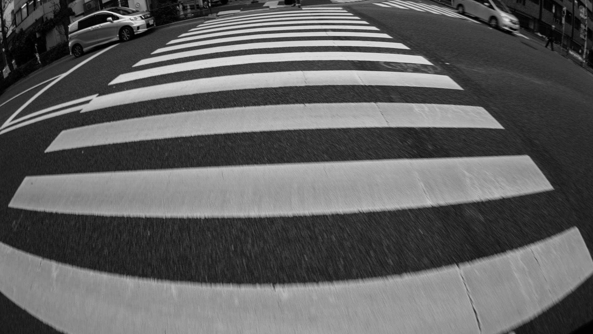 FE 16mm F3.5 Fisheye sample photo. Zebra photography
