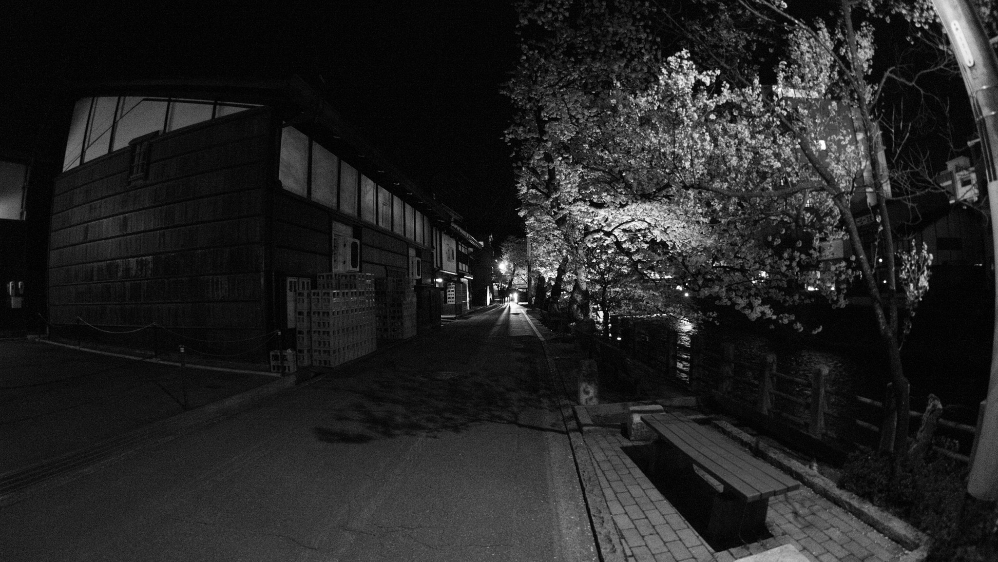 FE 16mm F3.5 Fisheye sample photo. Takayama sakura 1 photography
