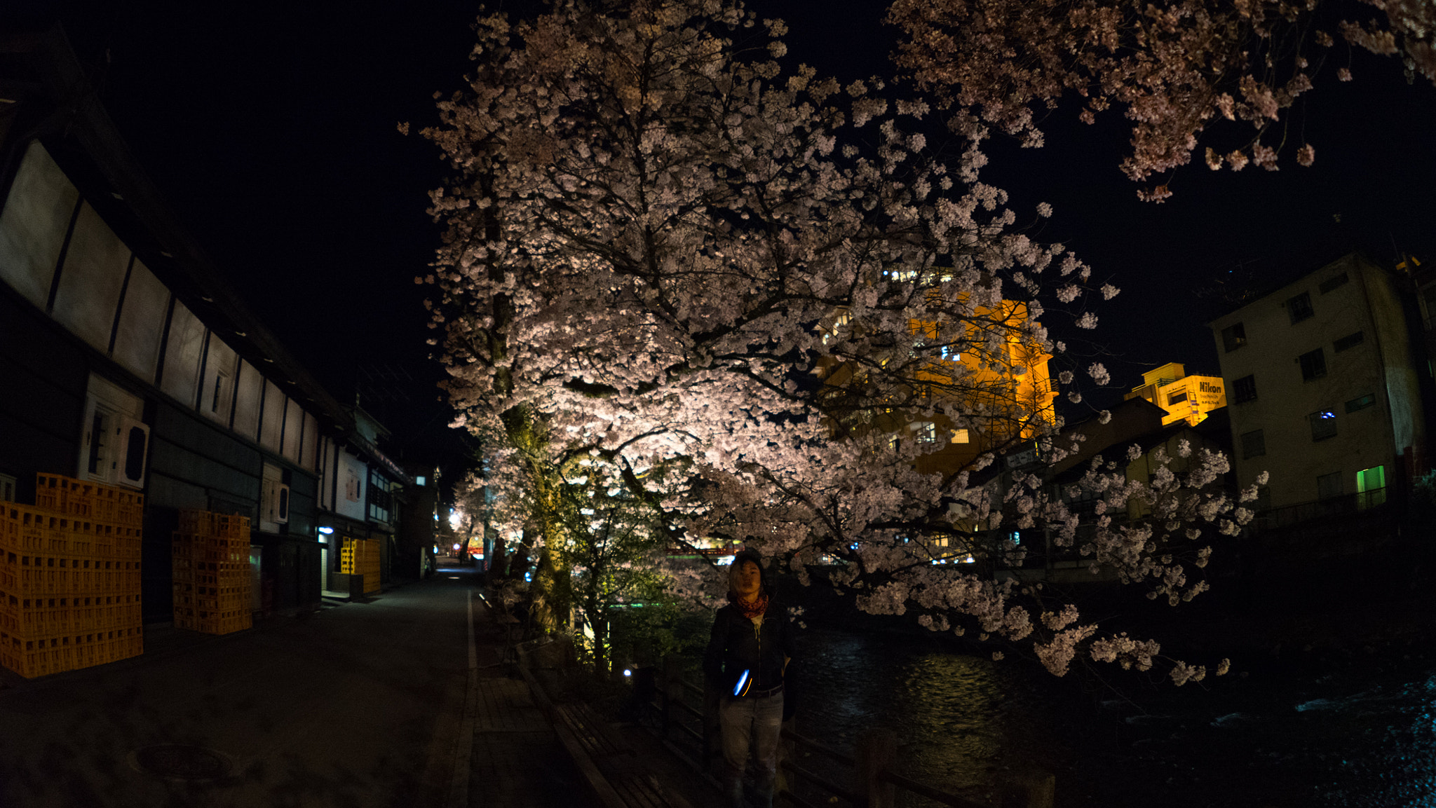 Sony a7 II + FE 16mm F3.5 Fisheye sample photo. Takayama sakura 7 photography