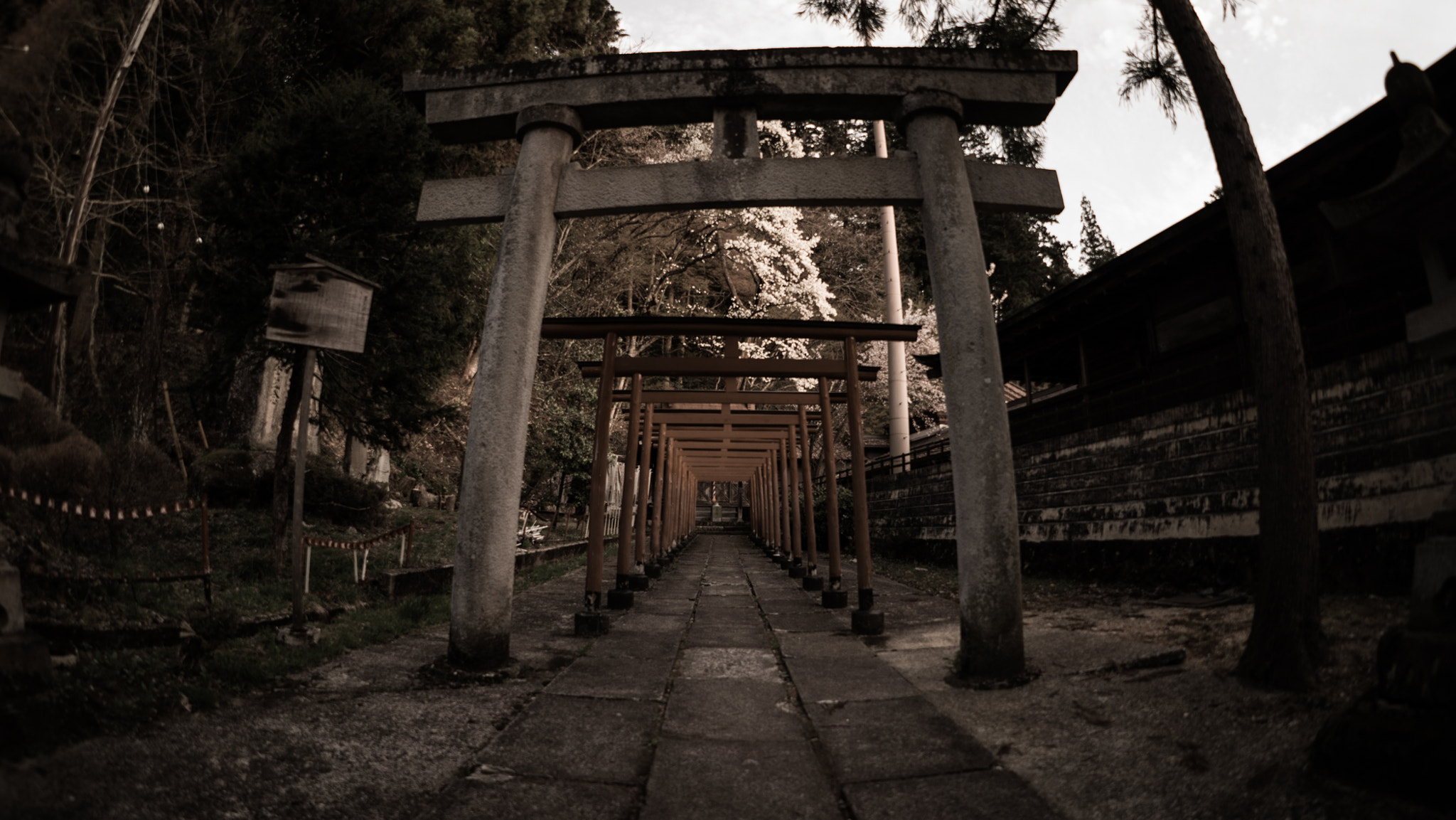 Sony a7 II + FE 16mm F3.5 Fisheye sample photo. Takayama gate photography