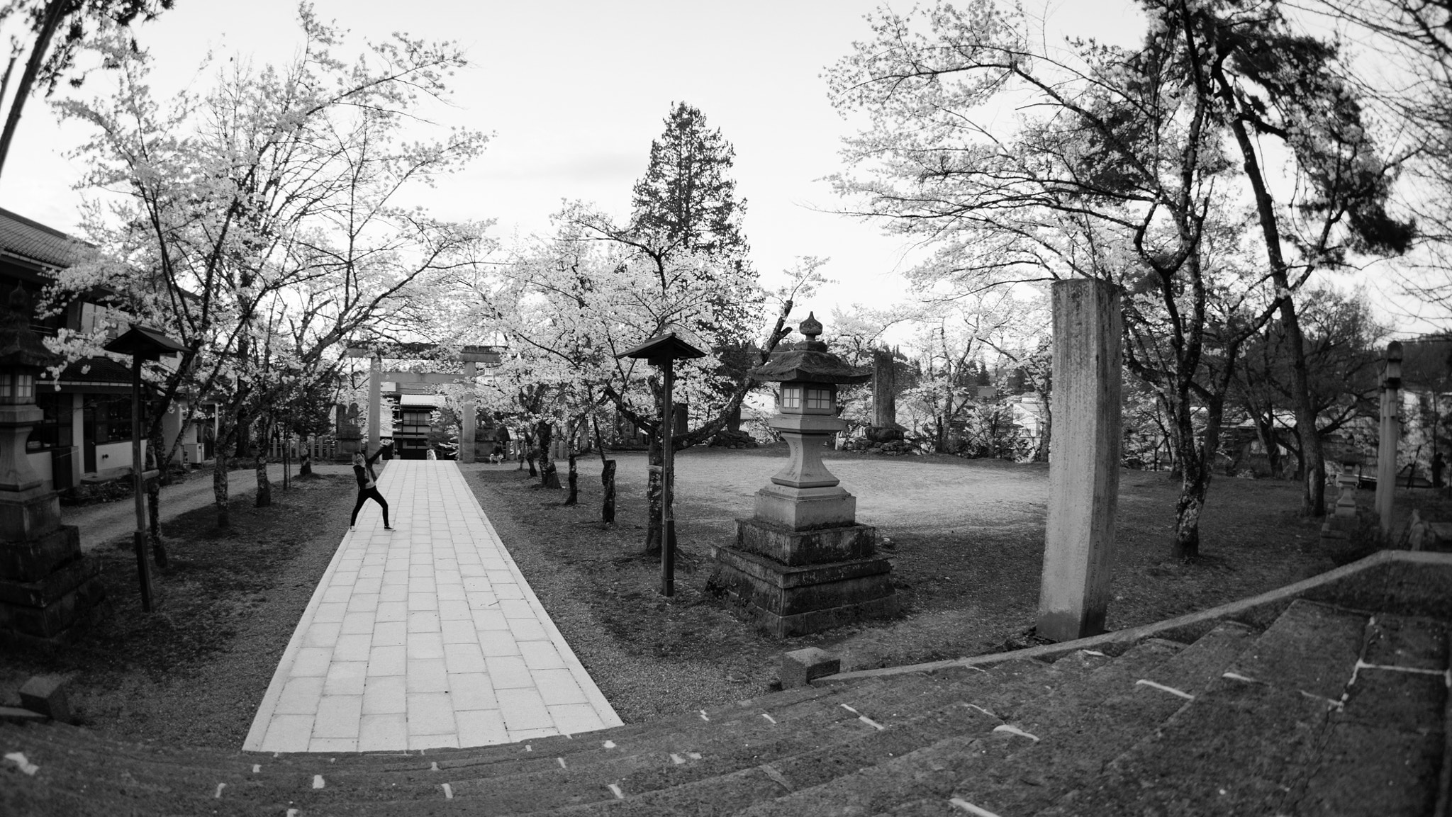 Sony a7 II + FE 16mm F3.5 Fisheye sample photo. Takayama shrine poser photography