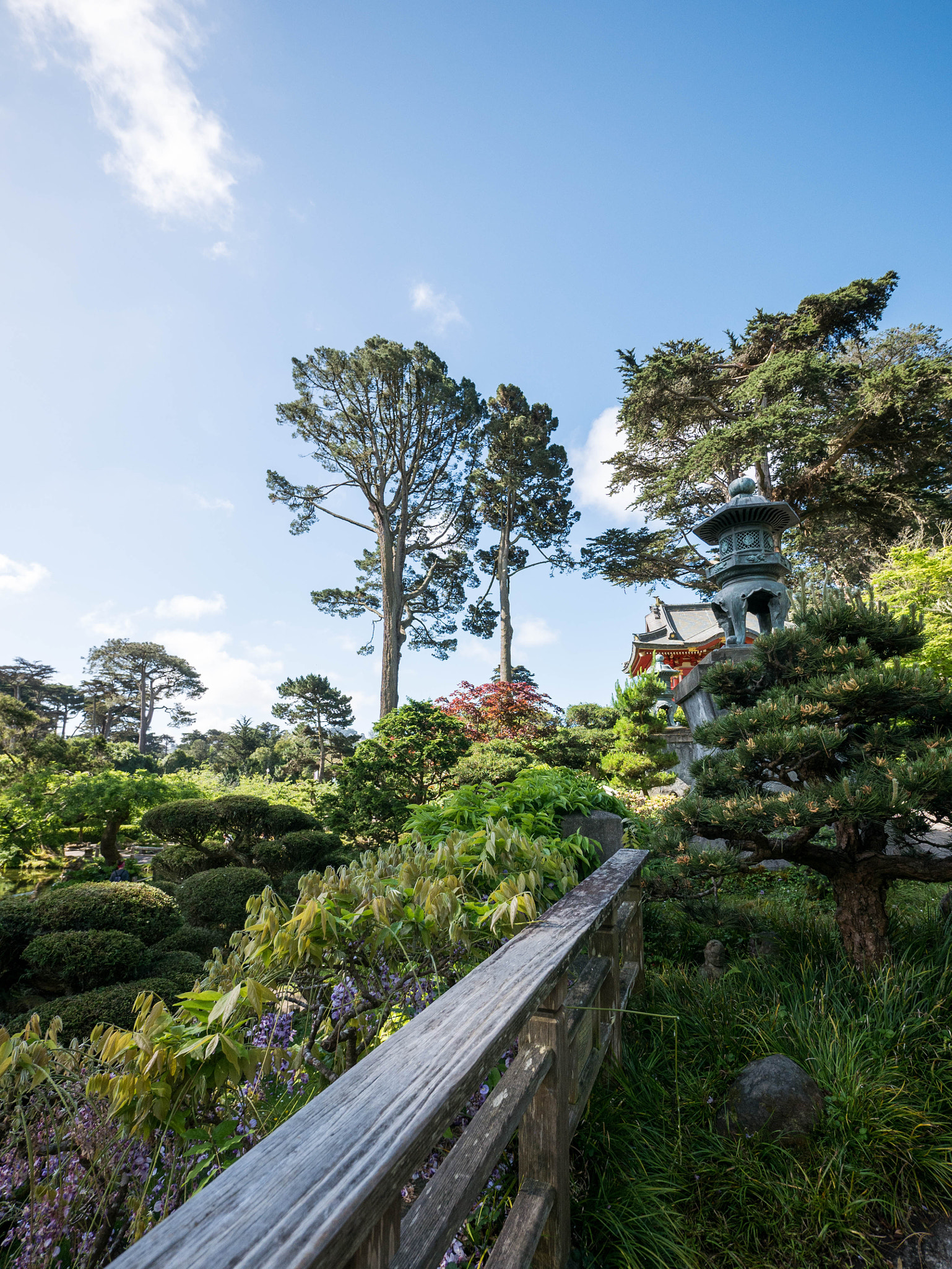 Panasonic Lumix DMC-G7 + Panasonic Lumix G Vario 7-14mm F4 ASPH sample photo. Japanese tea garden - san francisco photography