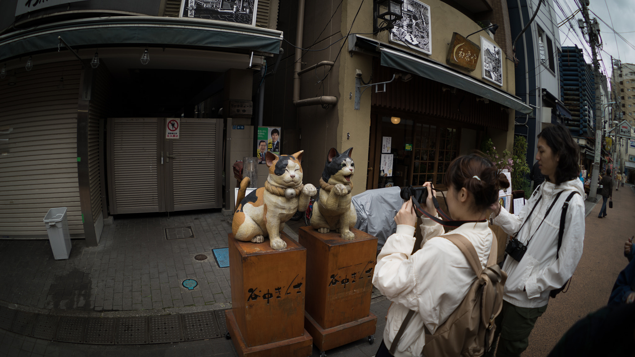 FE 16mm F3.5 Fisheye sample photo. Meow meow photography