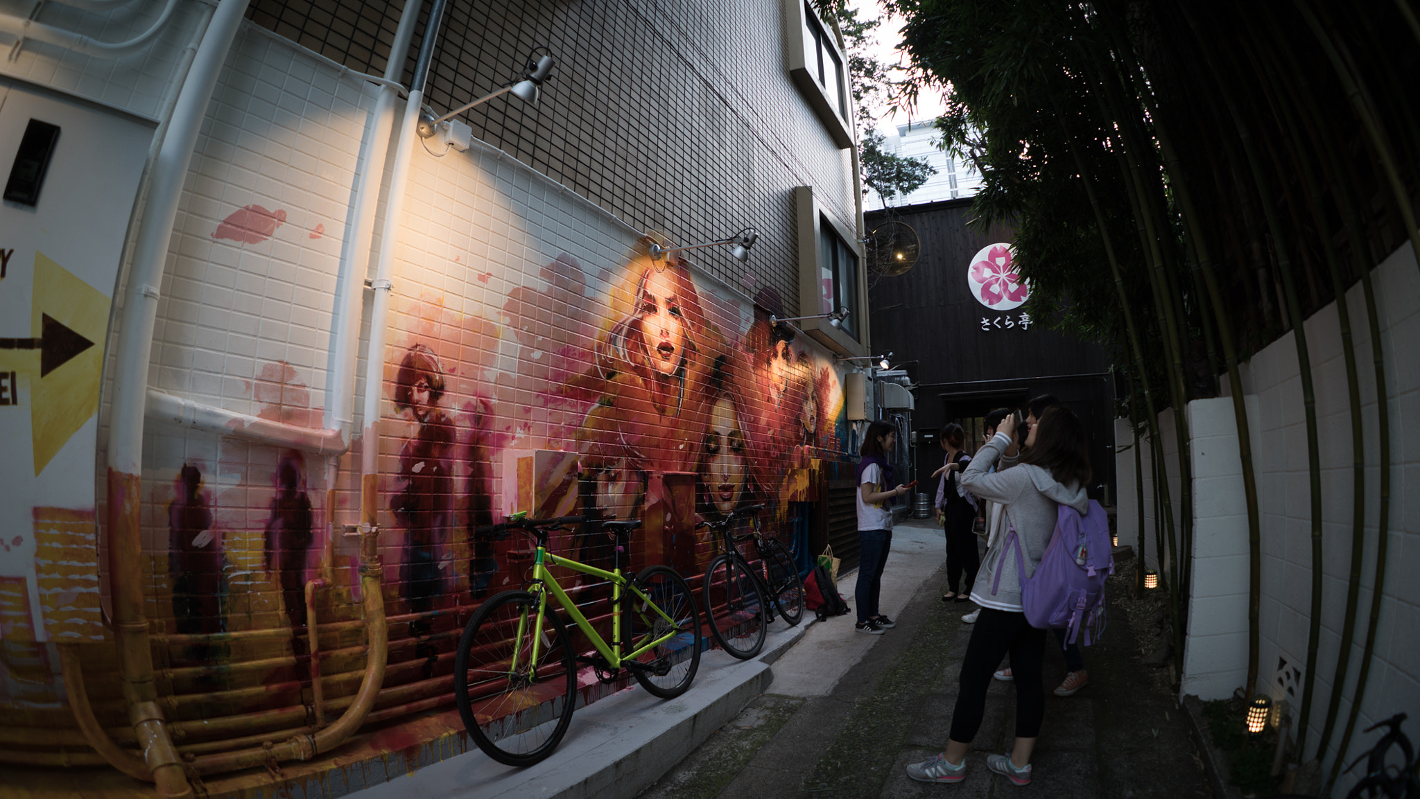 FE 16mm F3.5 Fisheye sample photo. Wall girls photography